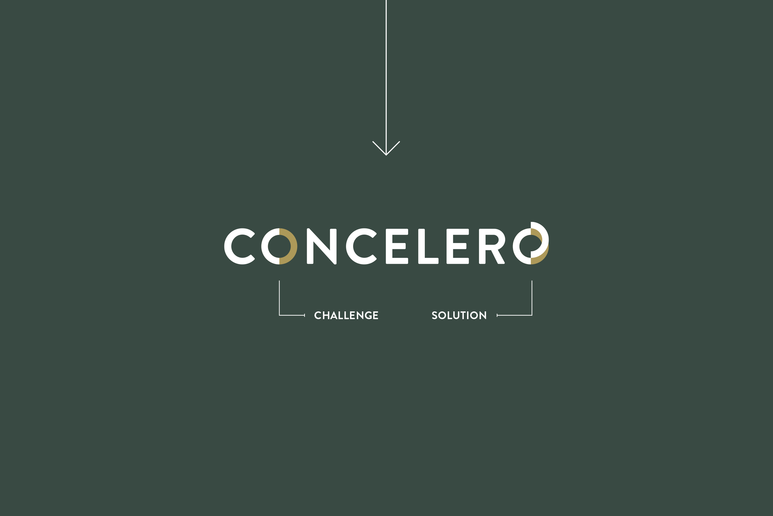 portfolio_concelero-2.png
