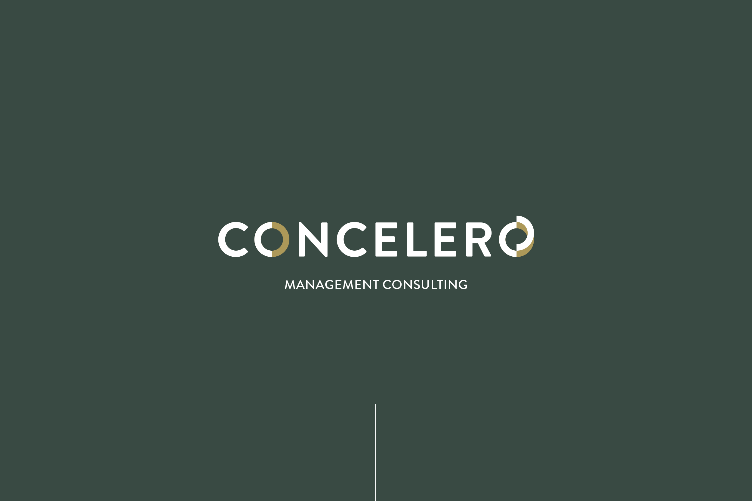 portfolio_concelero-1.png
