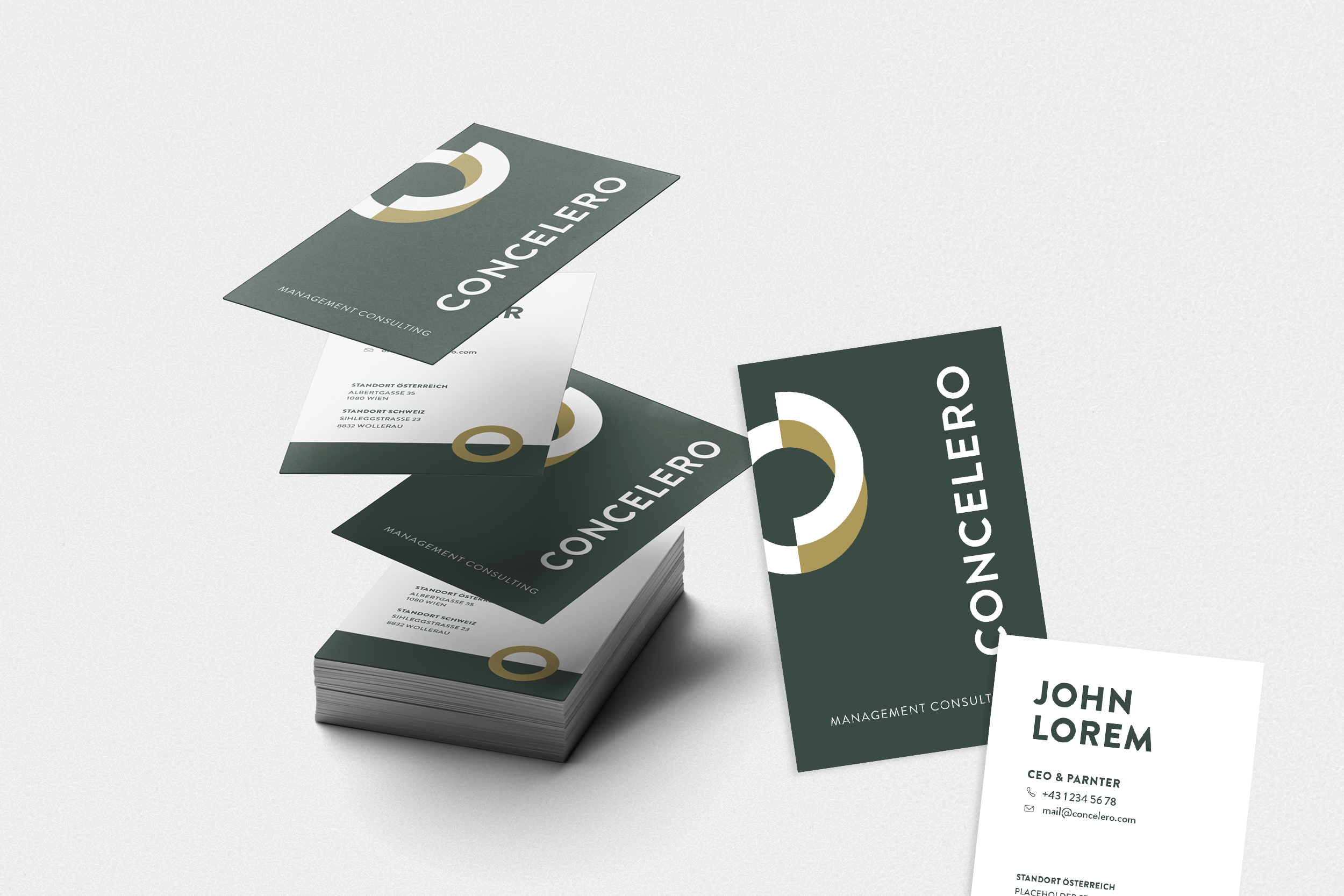 portfolio_concelero-3.png