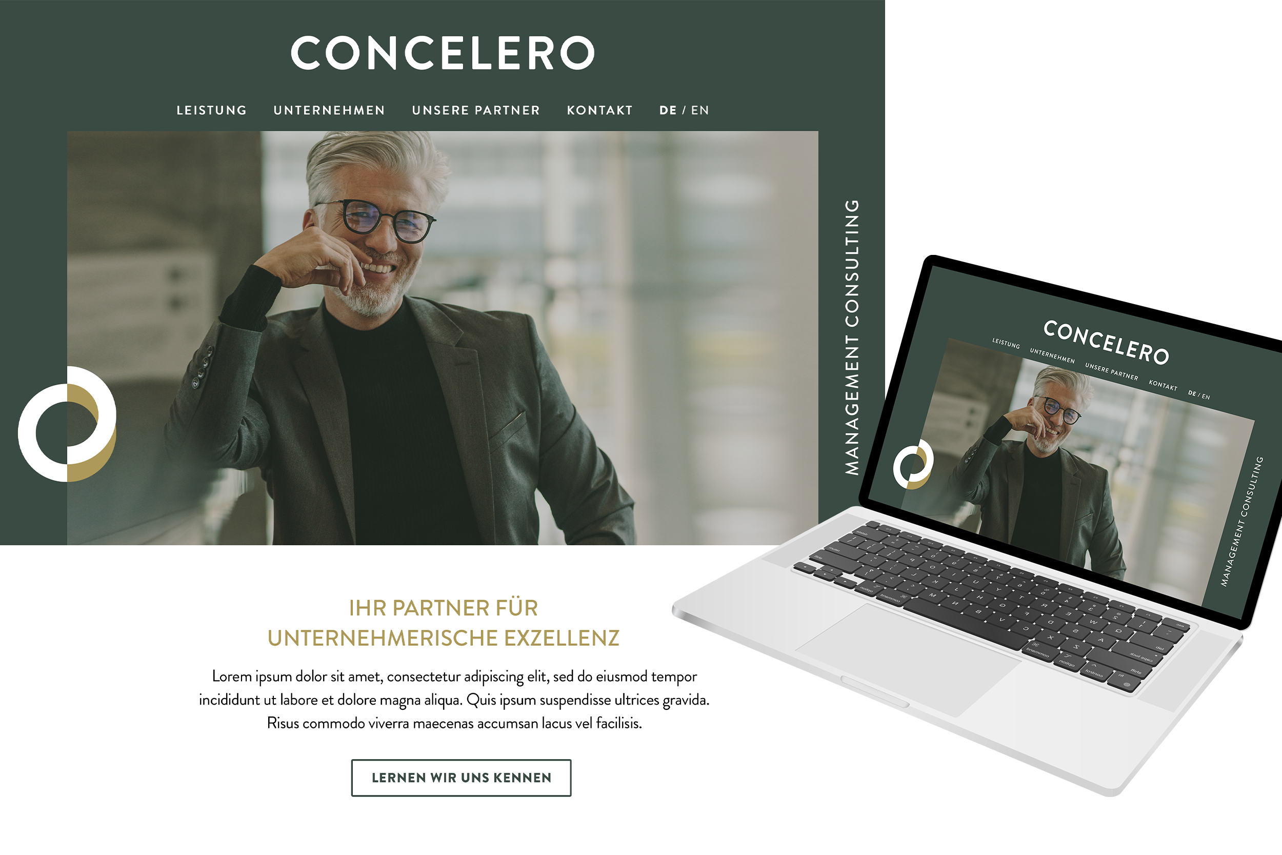 portfolio_concelero-5.png