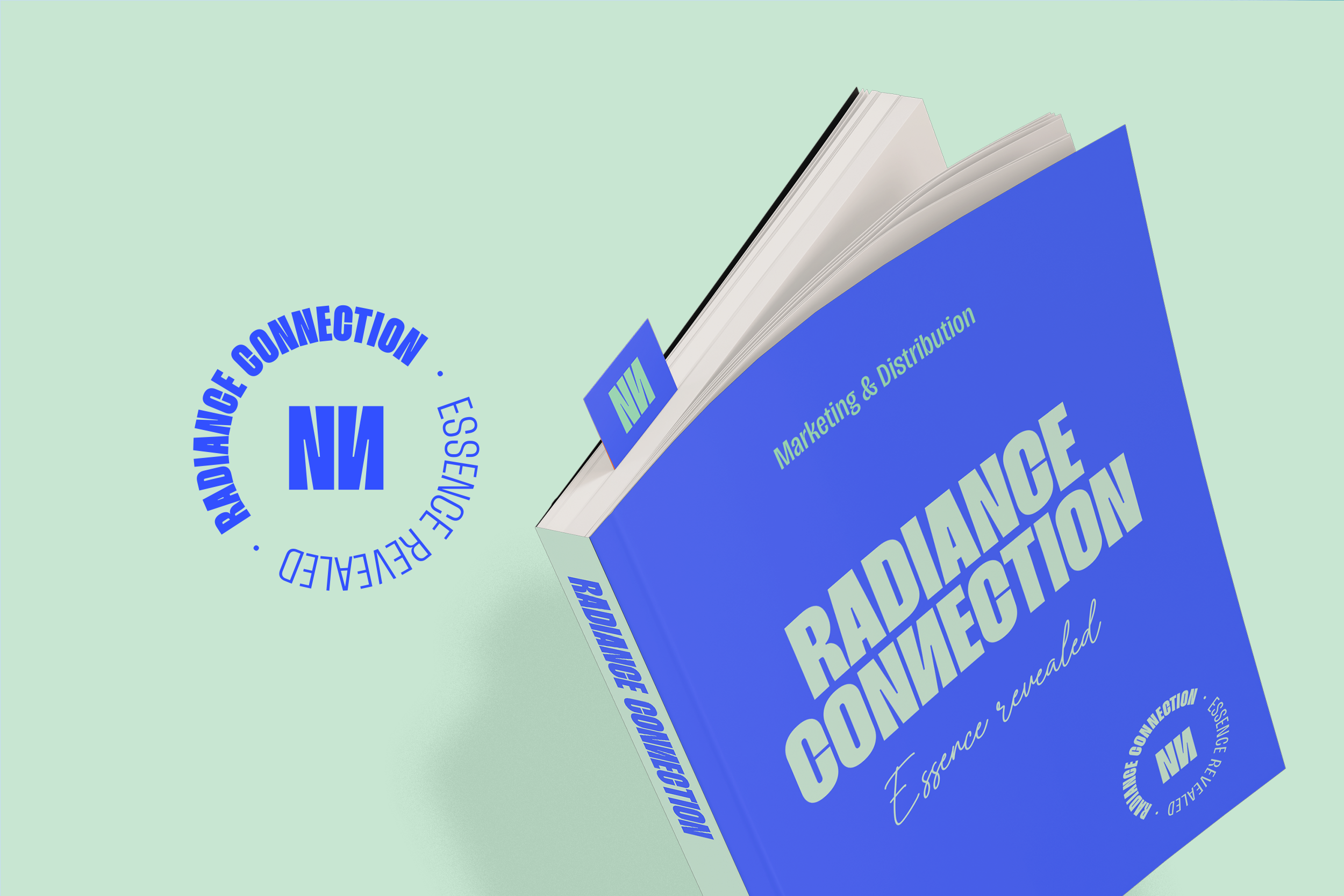 portfolio_radcon-3.png