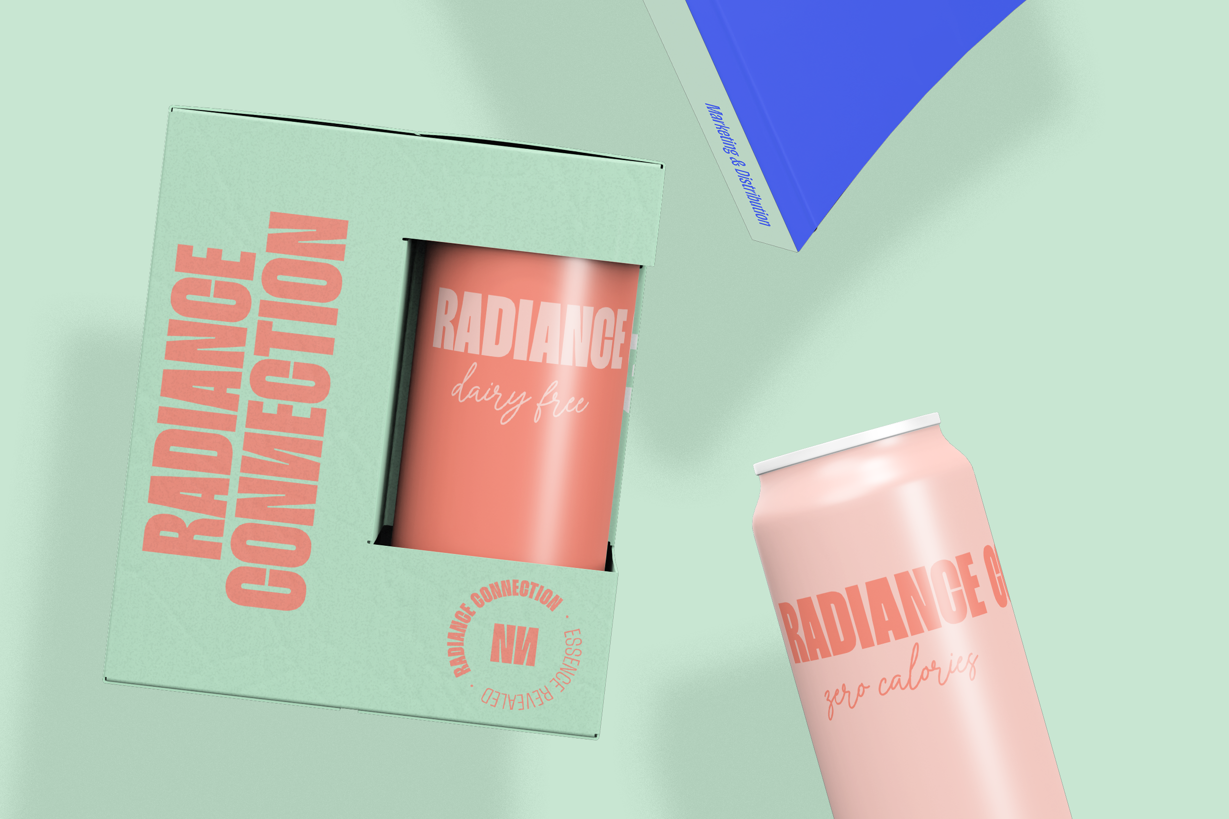 portfolio_radcon-4.png