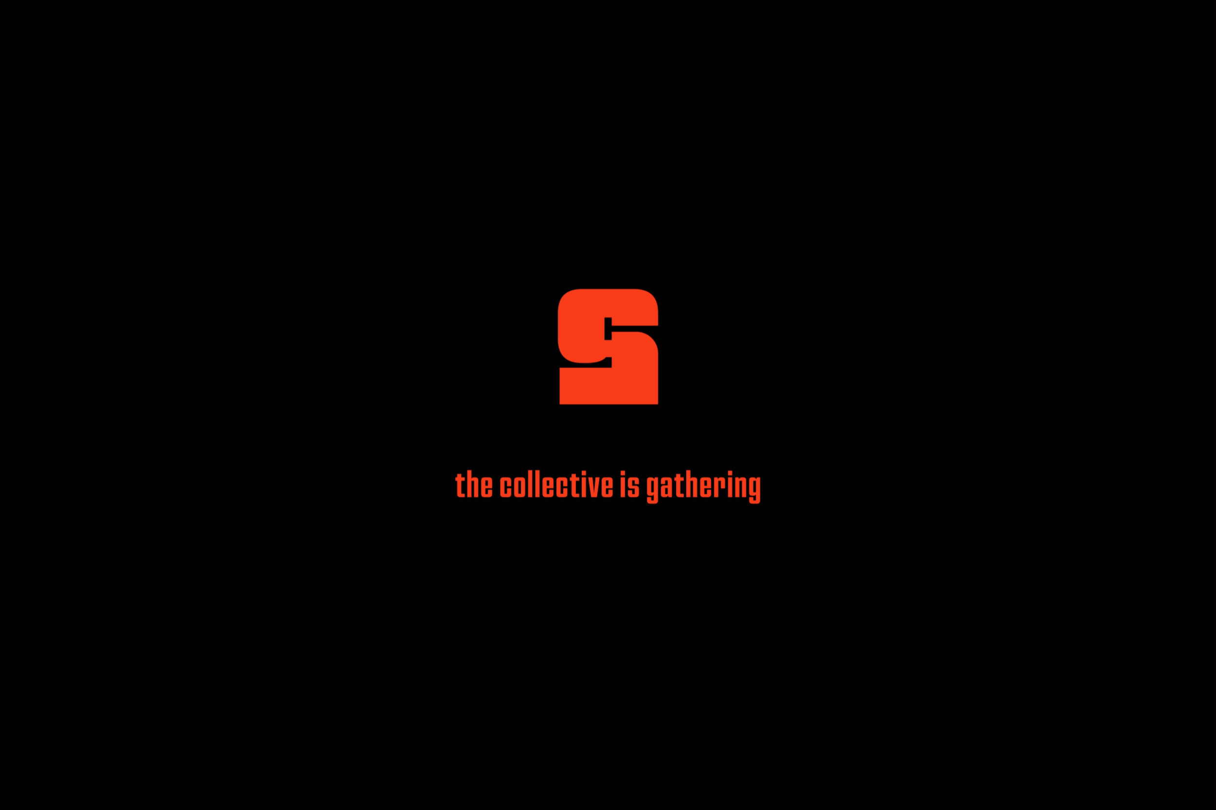portfolio_steter-1.gif