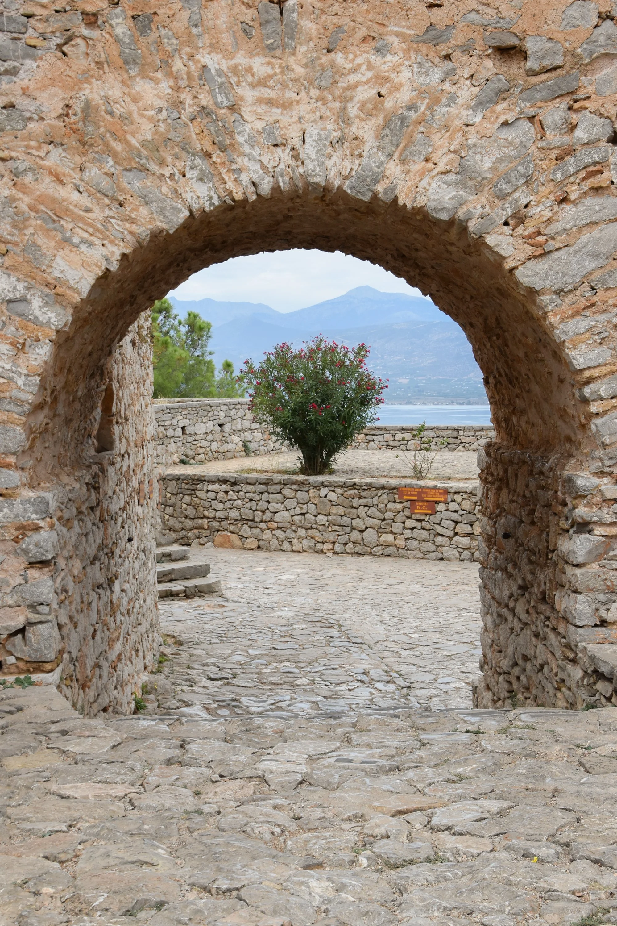 DSC_0125.jpg