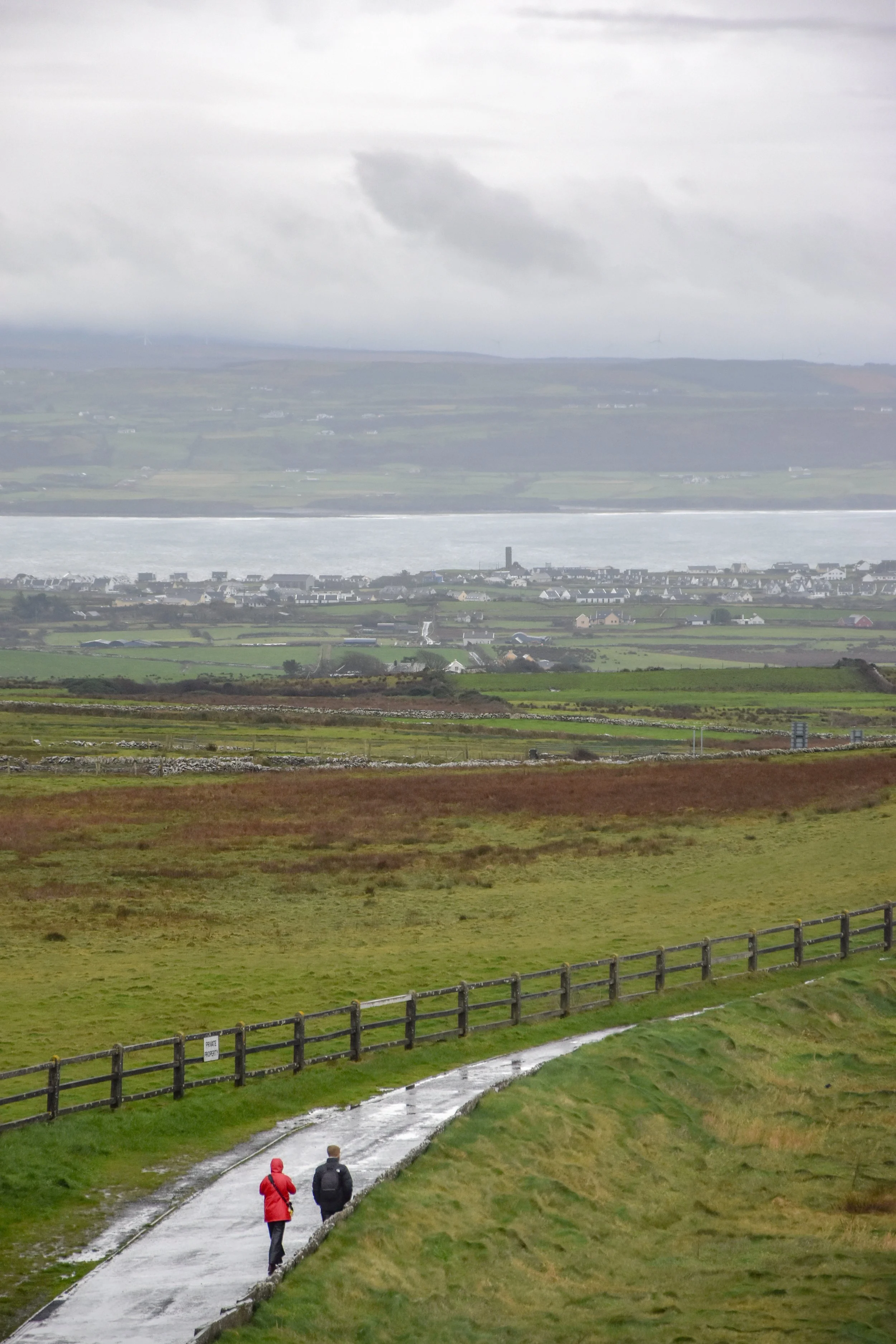 DSC_0131.jpg