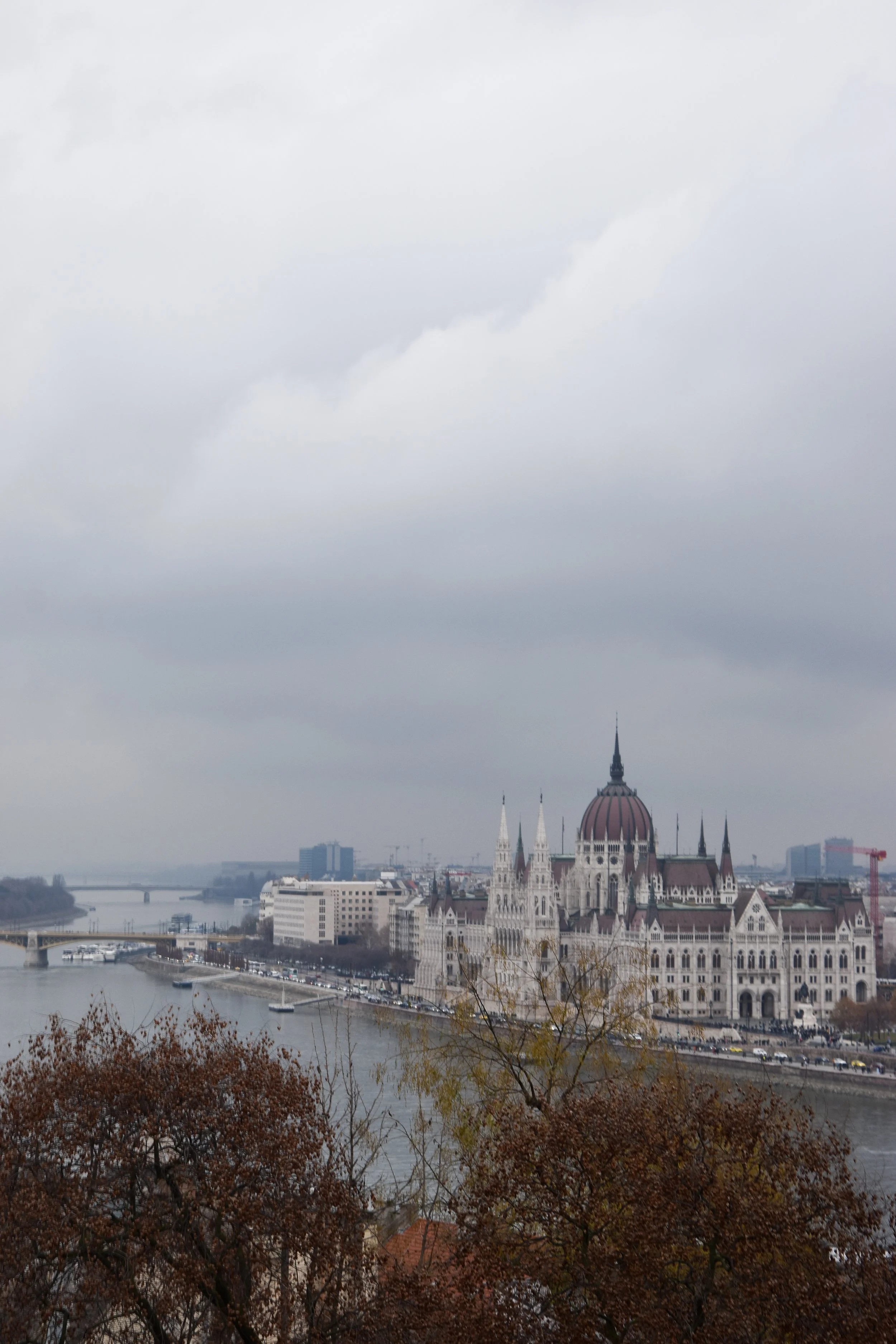 DSC_0067.jpg
