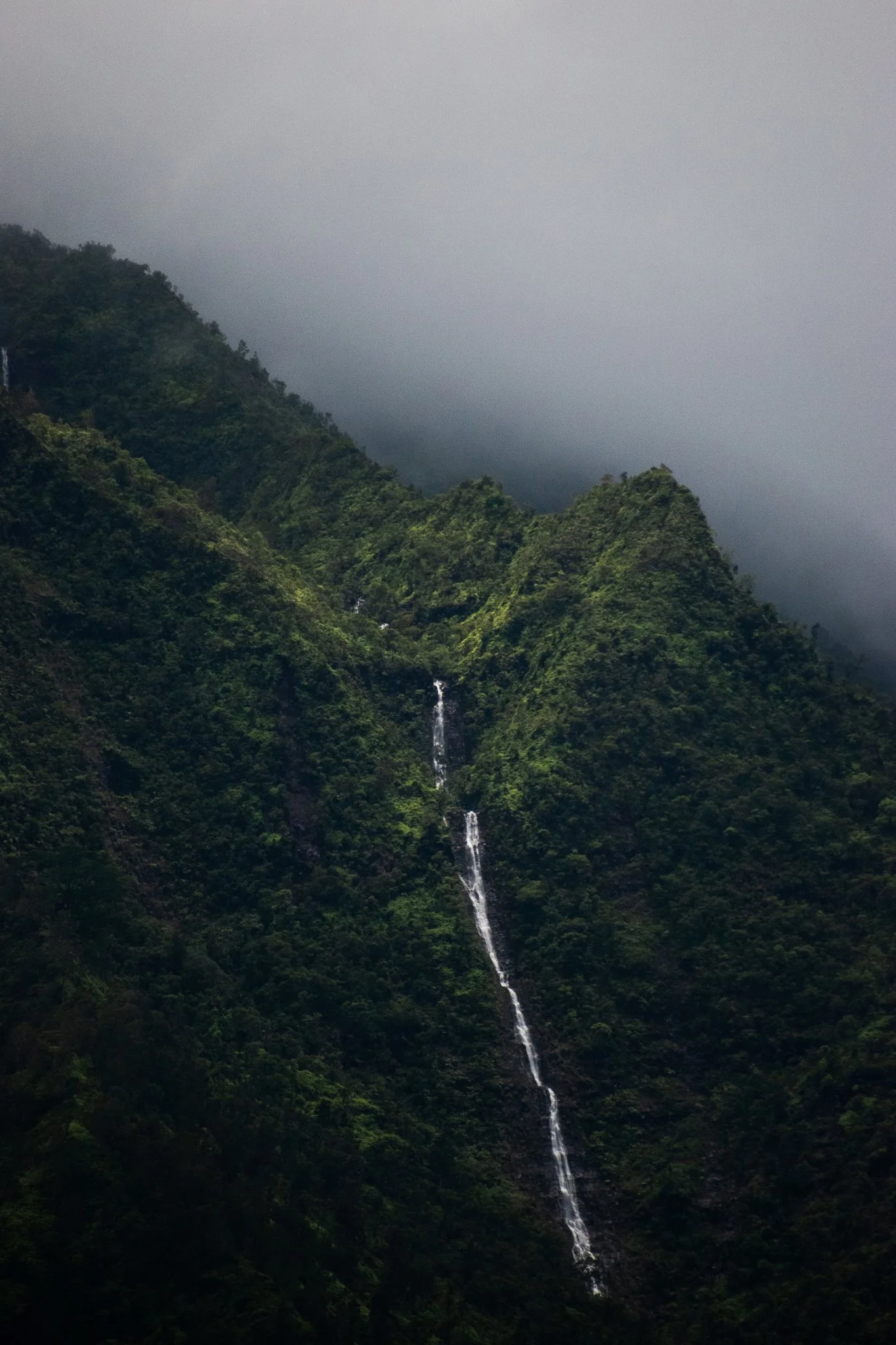 DSC_0447.jpg