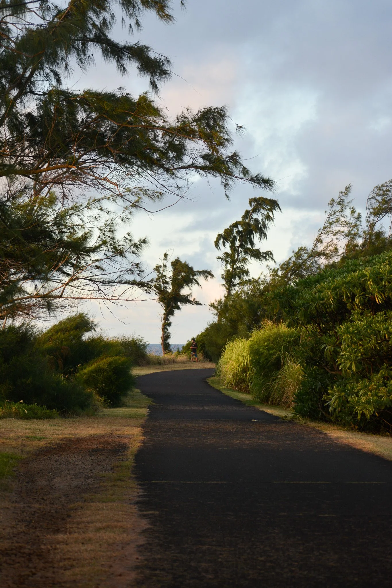 DSC_0697.jpg