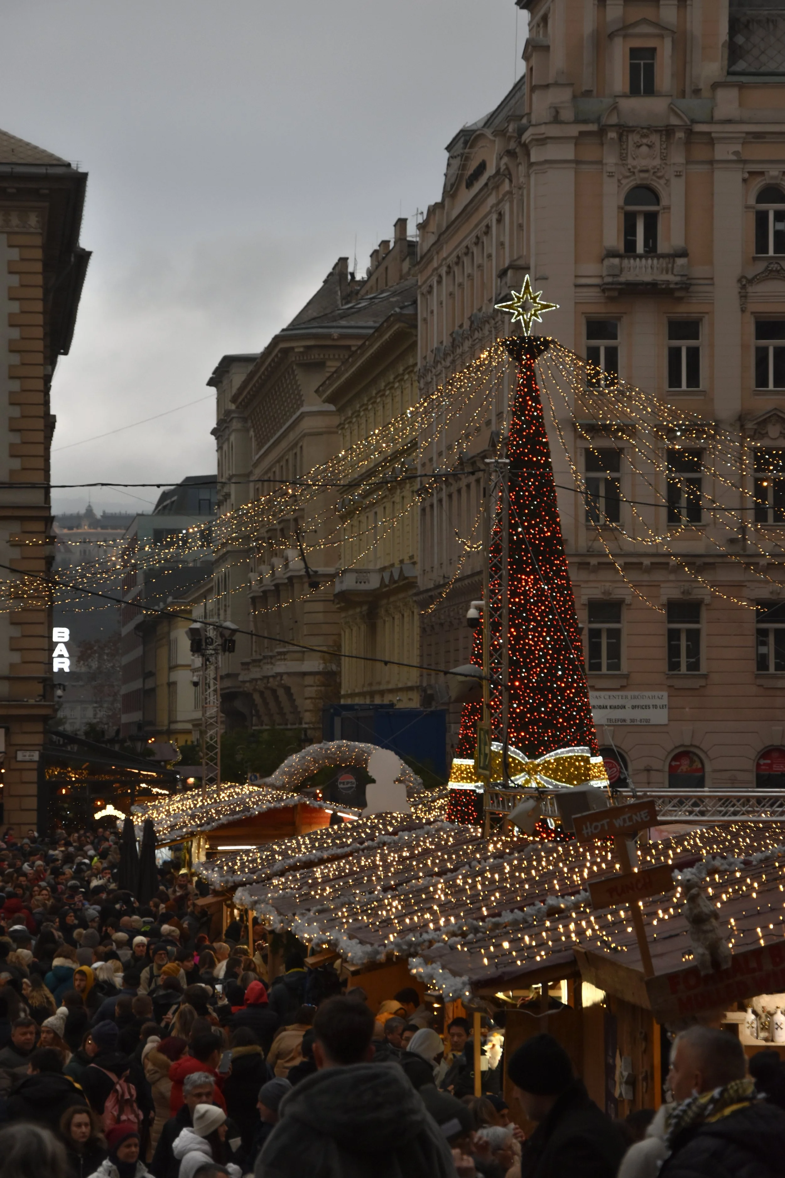 DSC_0121.jpg