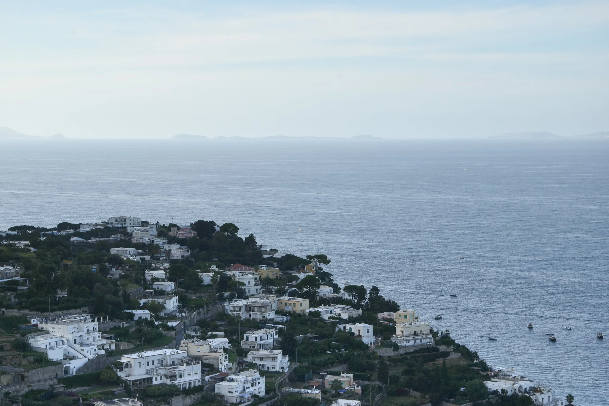 DSC_0483.jpg