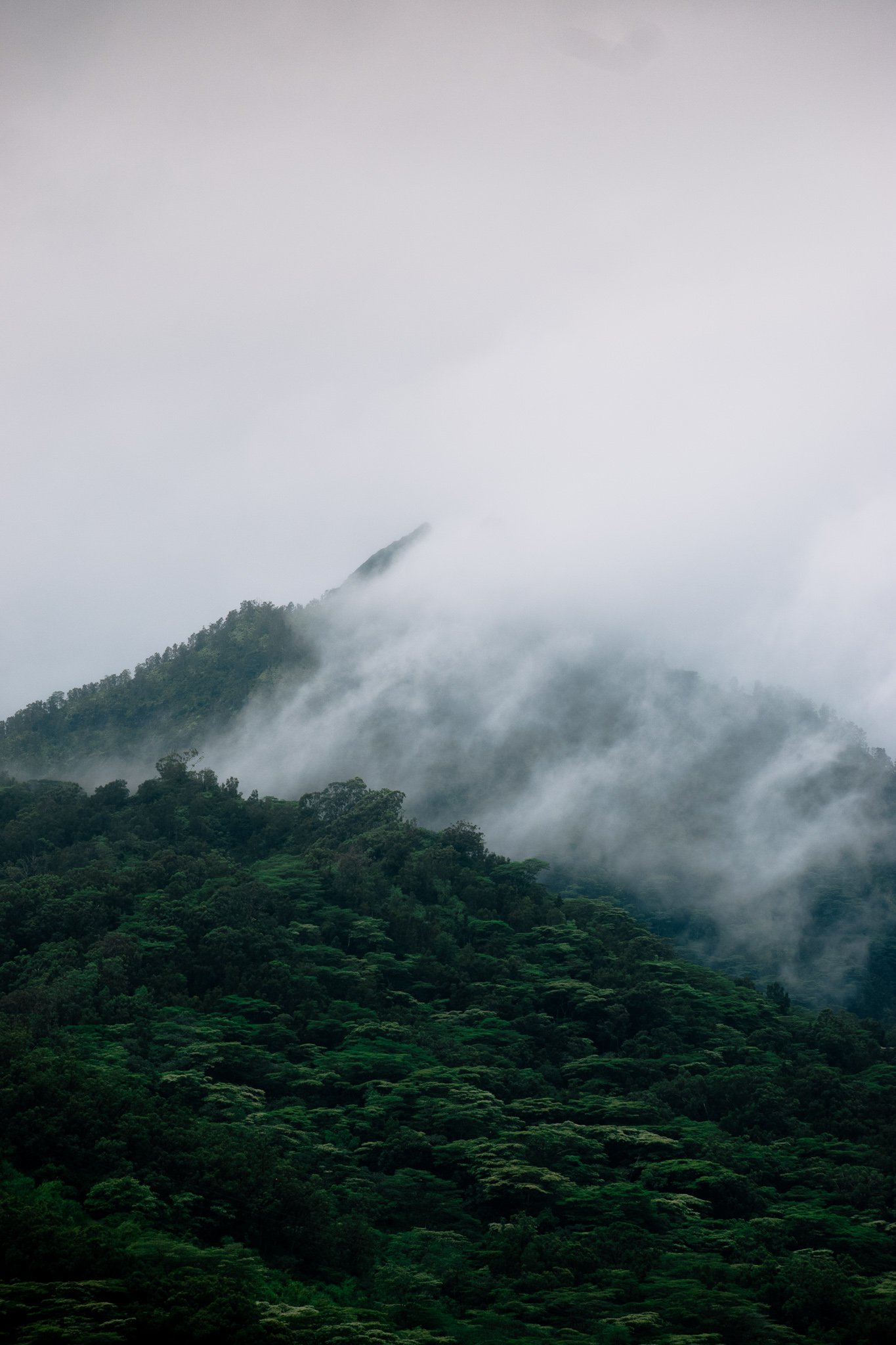 DSC_0379.jpg