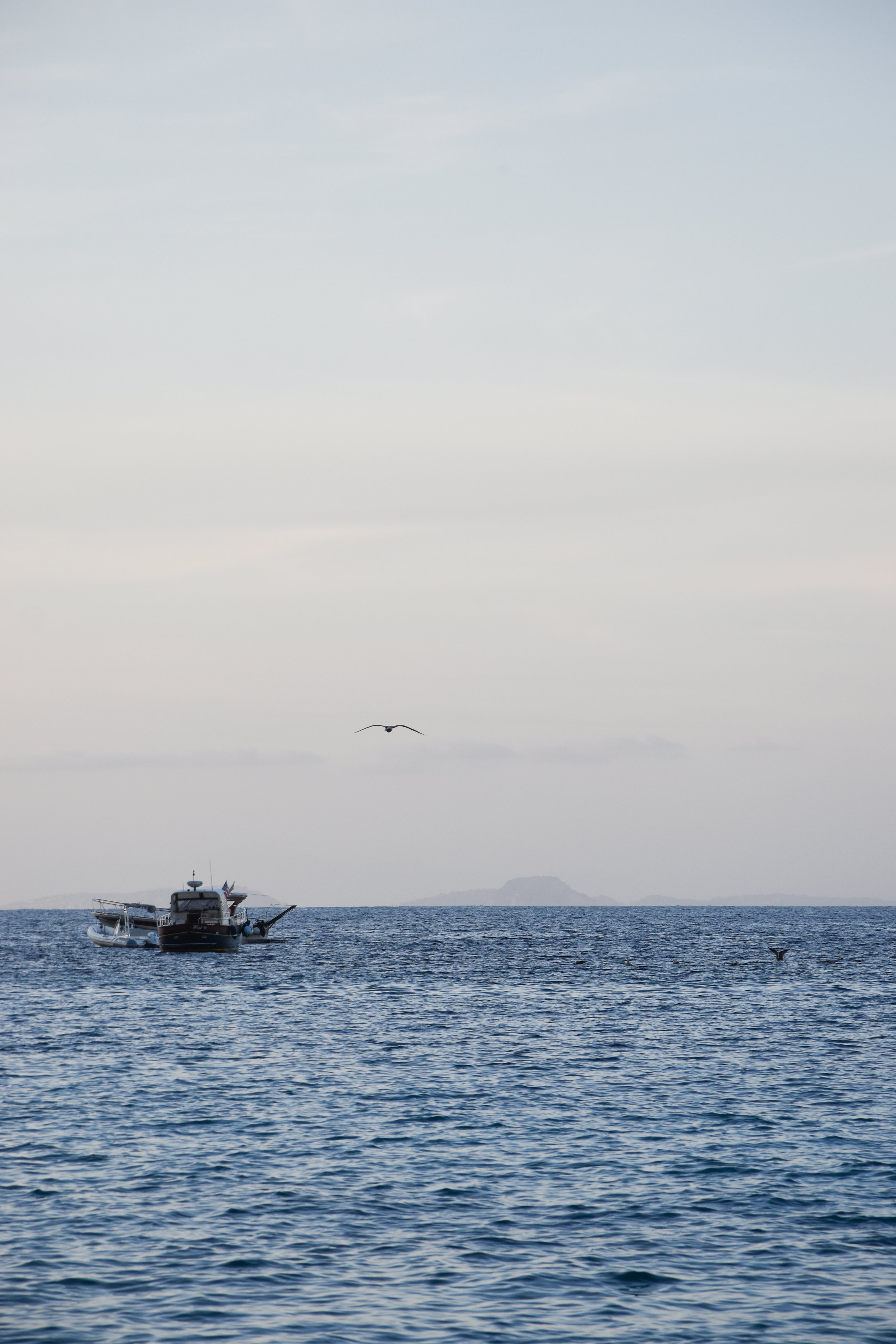 DSC_0528.jpg