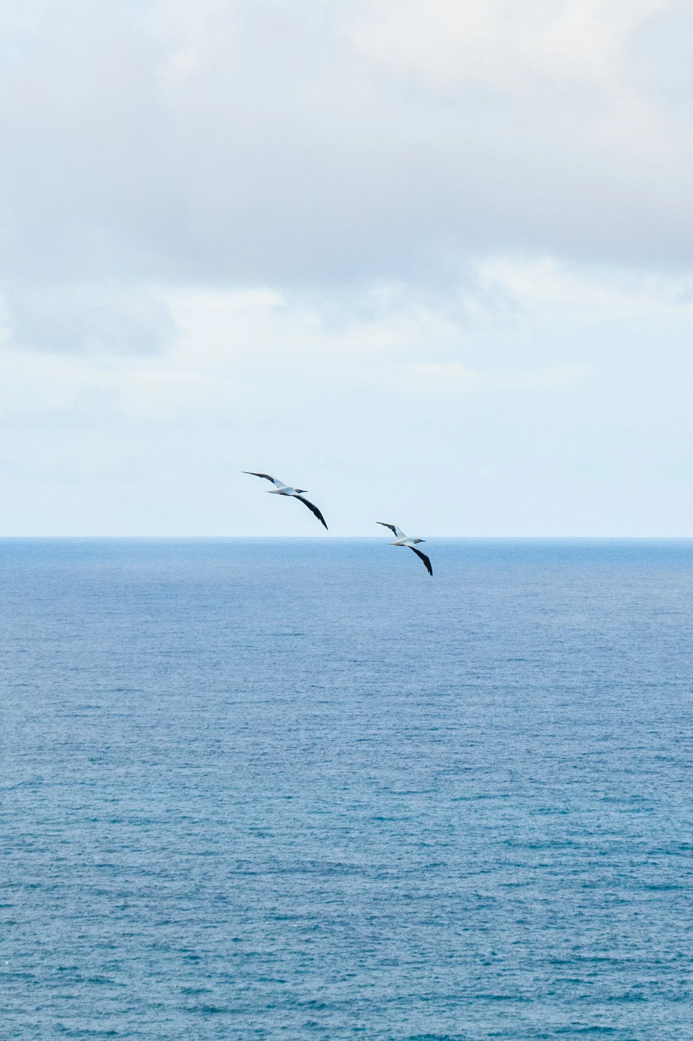 DSC_0618-2.jpg