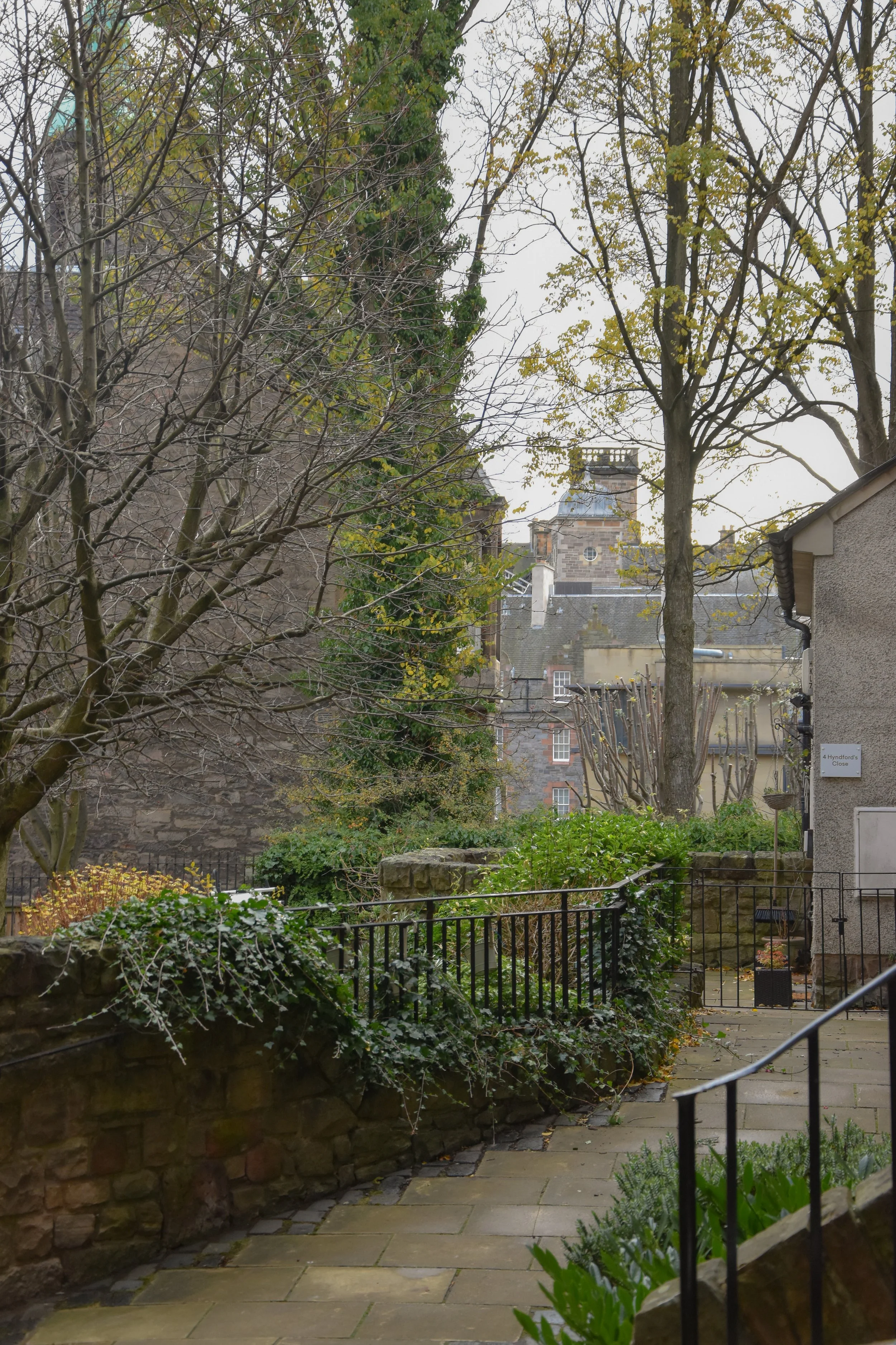 DSC_0061.jpg