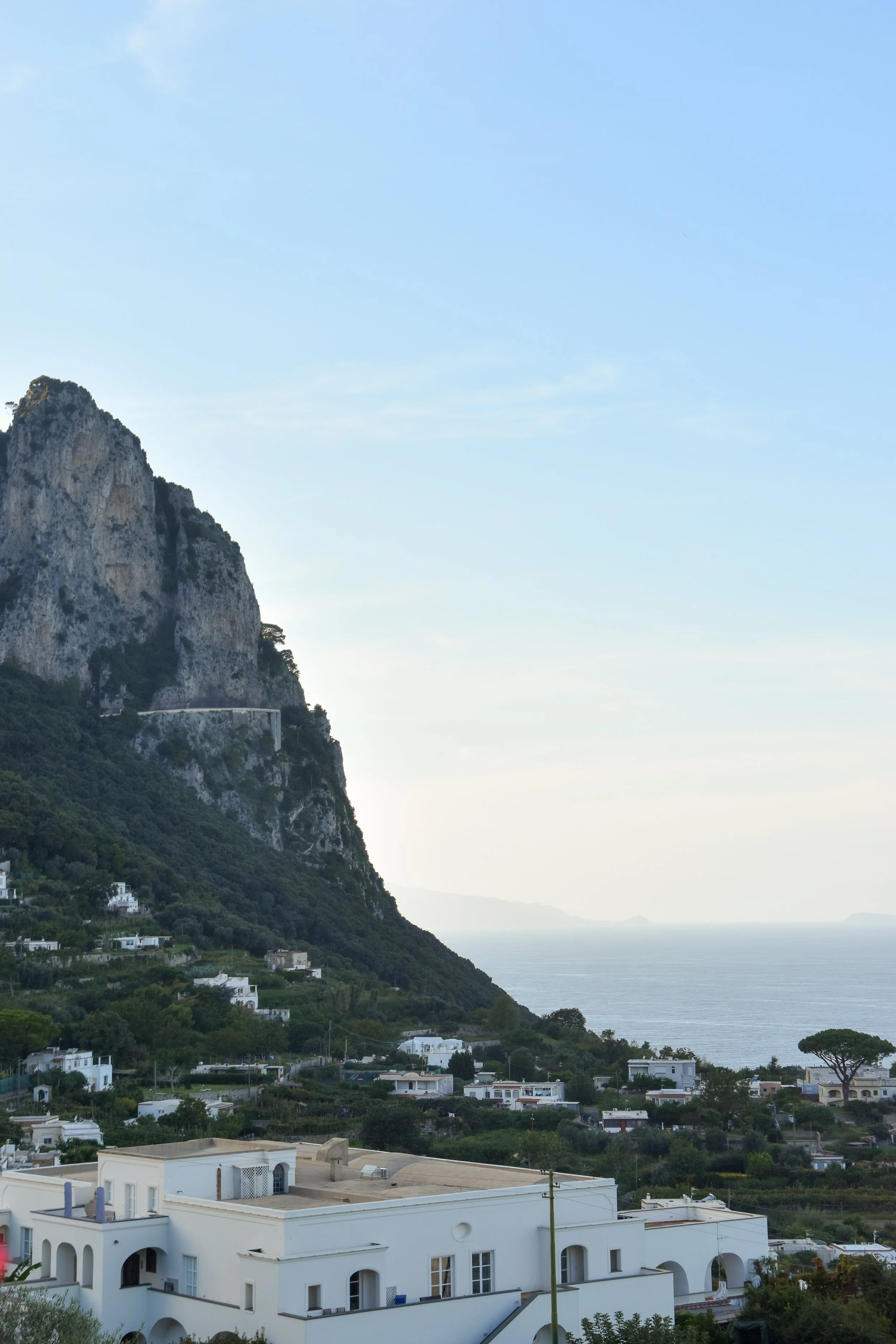 DSC_0508.jpg
