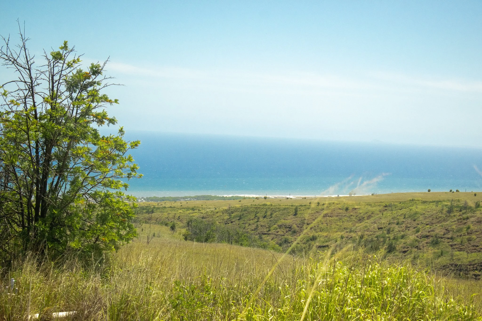DSC_0813-3.jpg