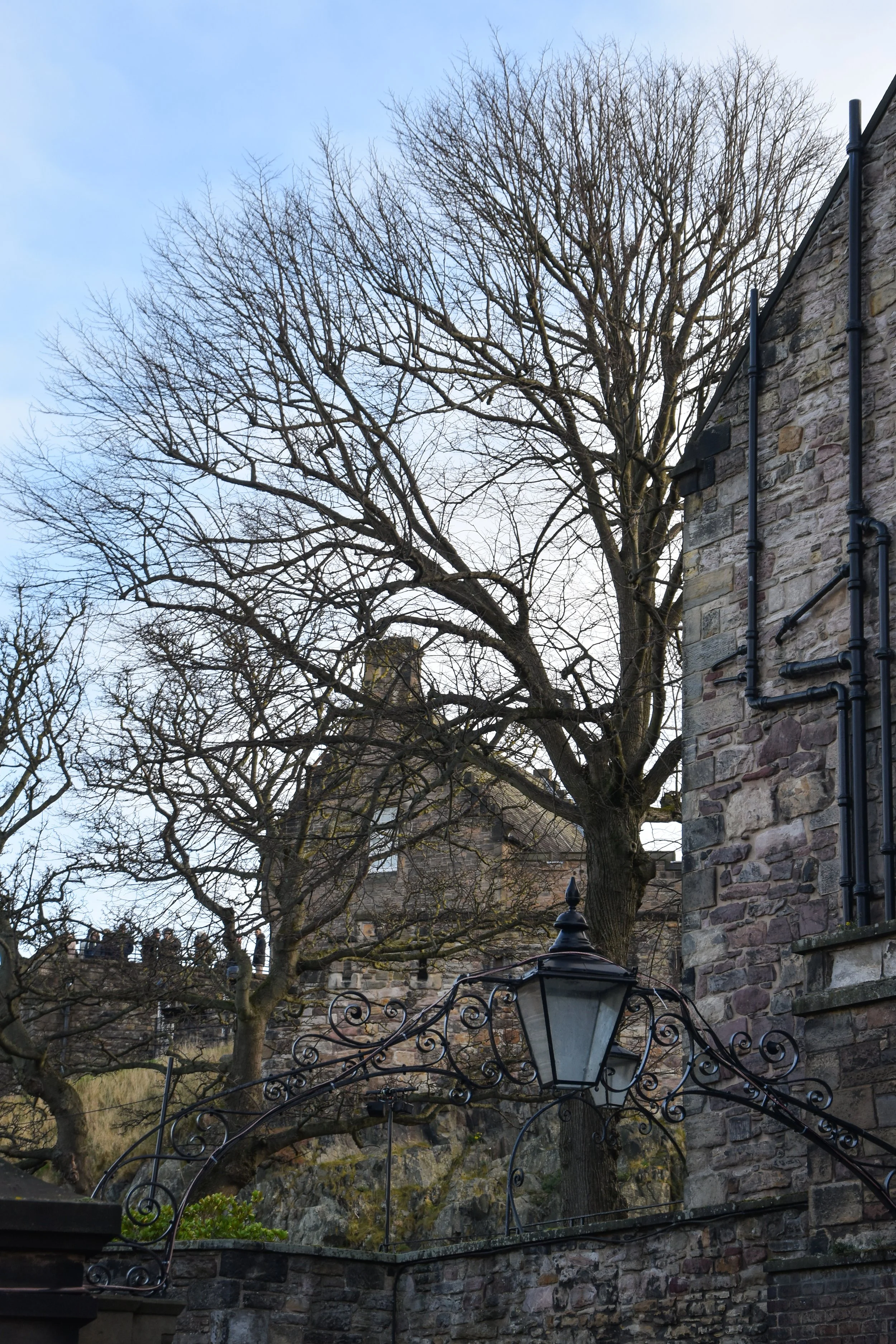 DSC_0105.jpg