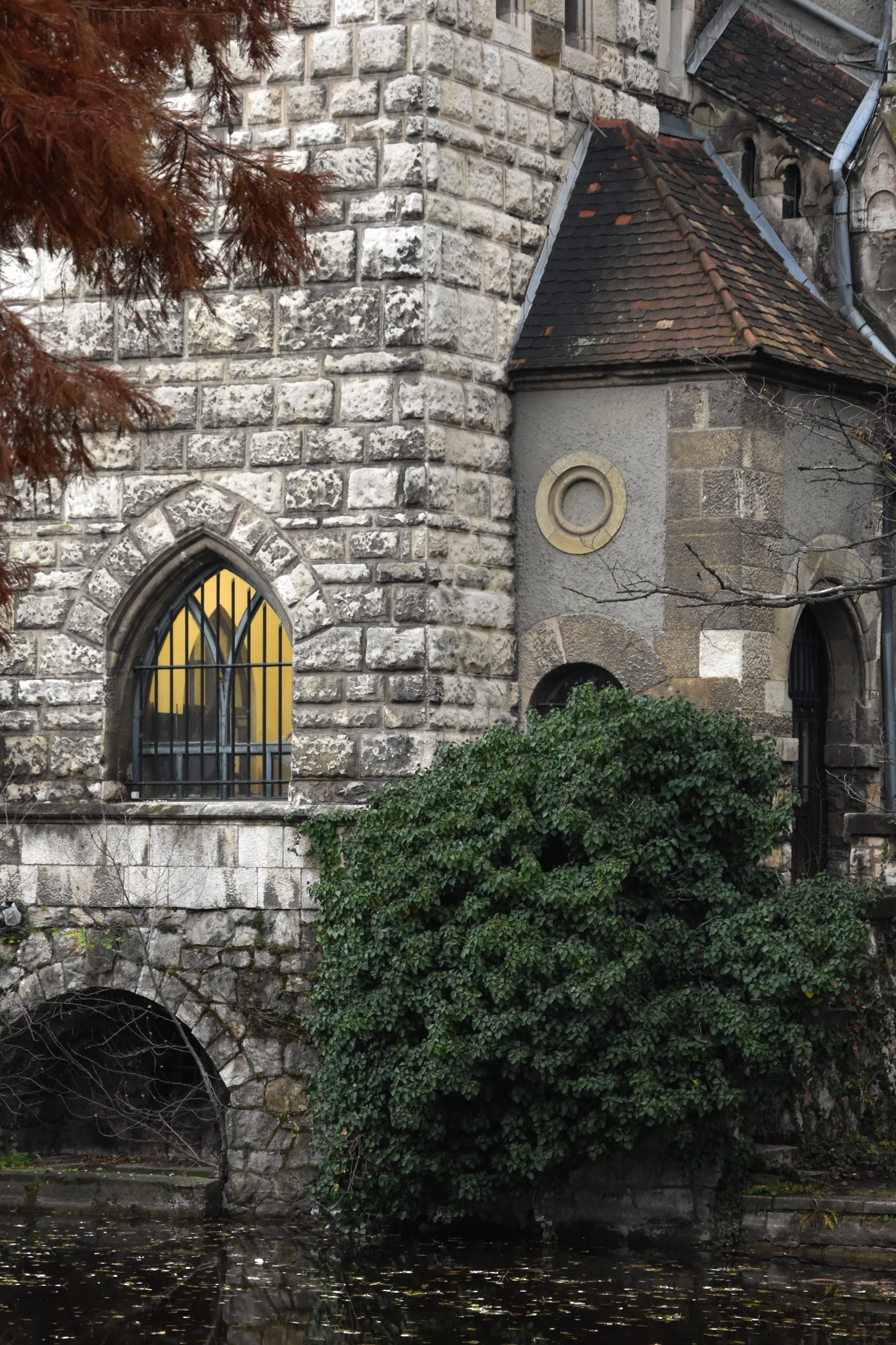 DSC_0100.jpg