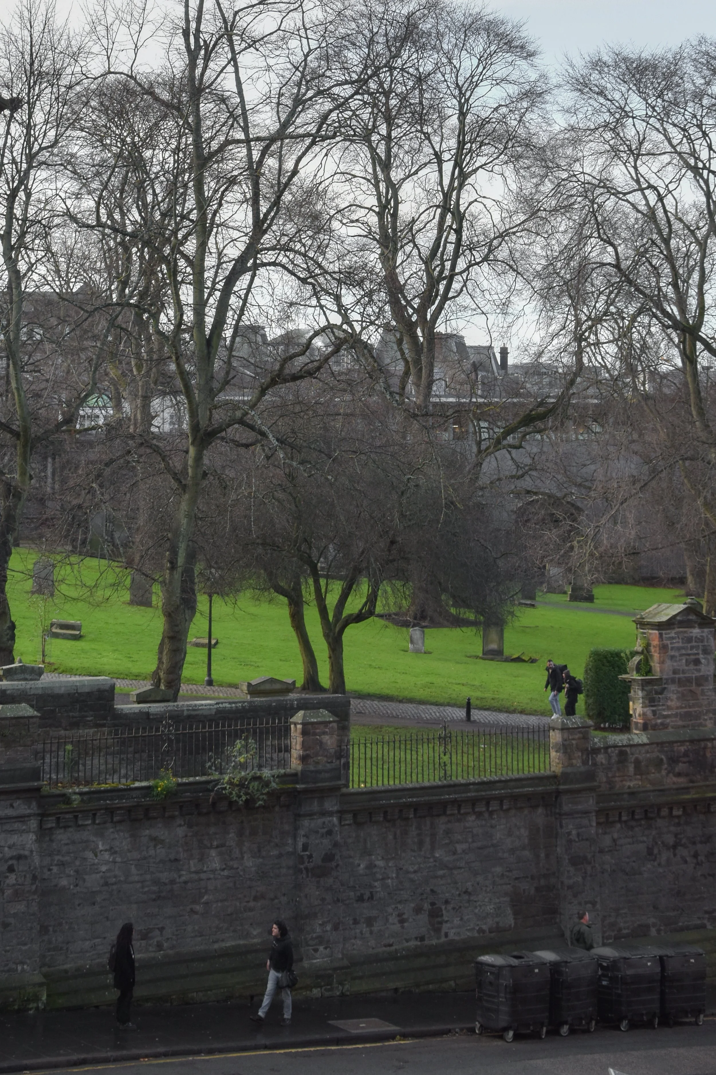 DSC_0022.jpg