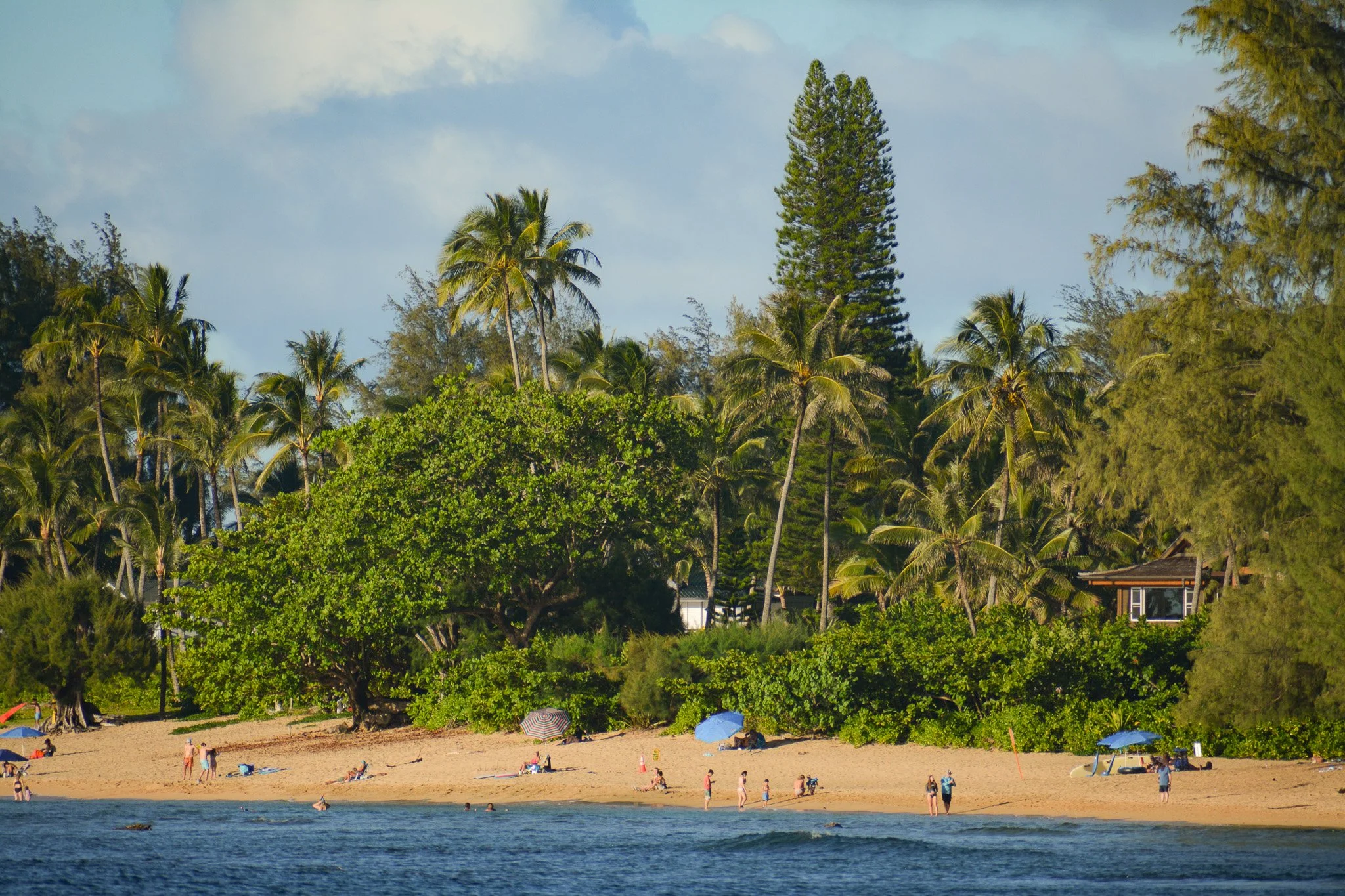 DSC_0144.jpg