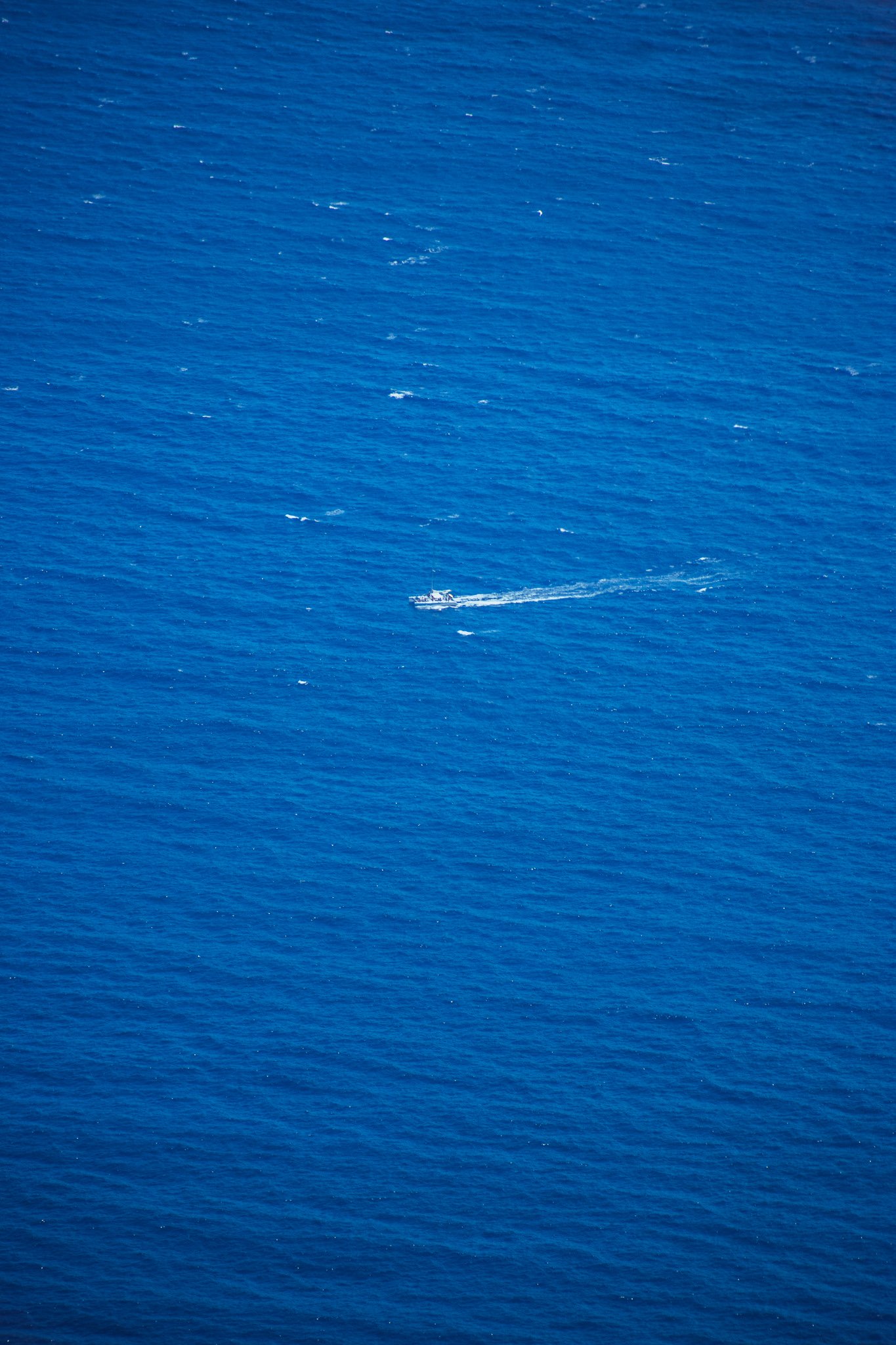 DSC_0667.jpg