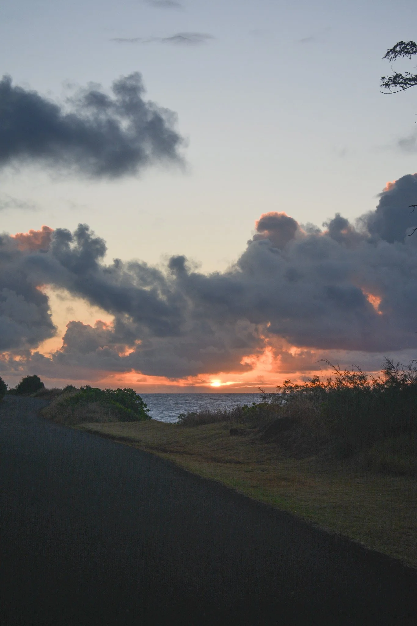 DSC_0603.jpg
