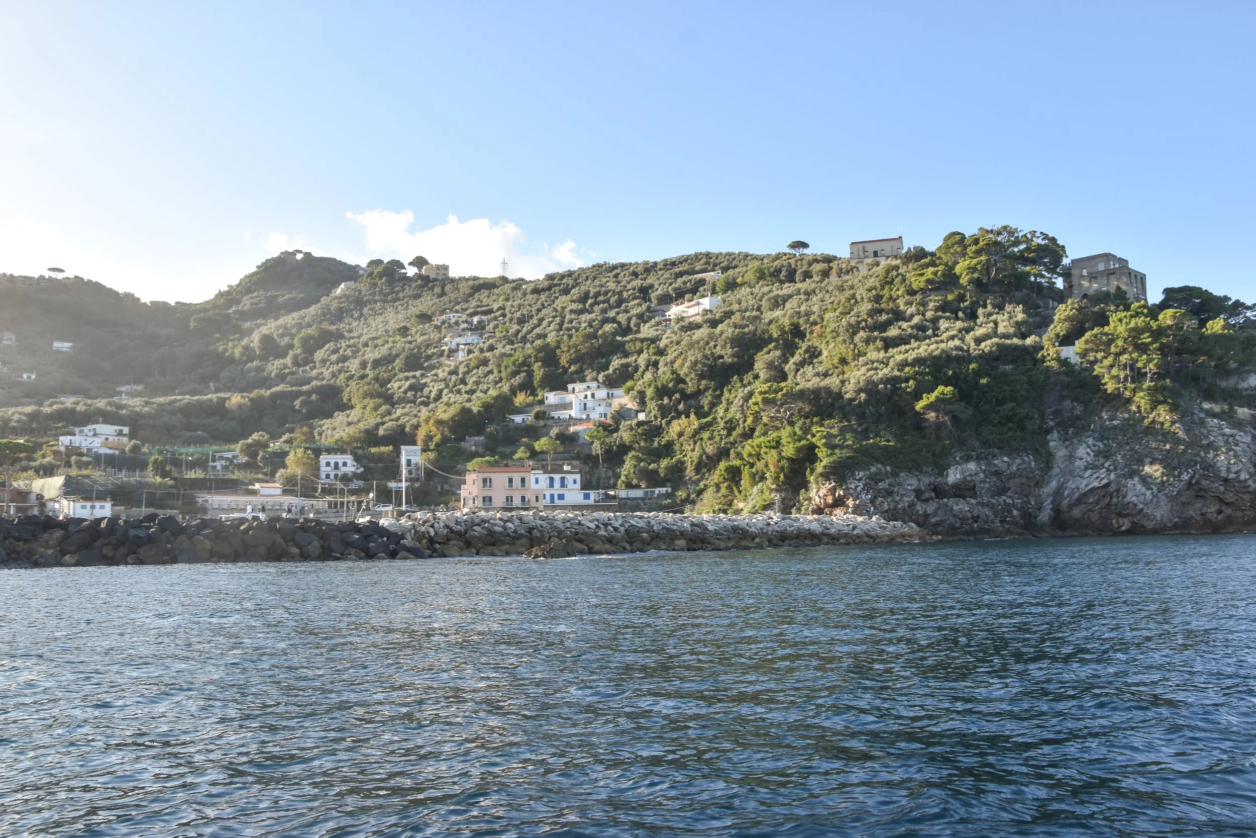 DSC_0536.jpg