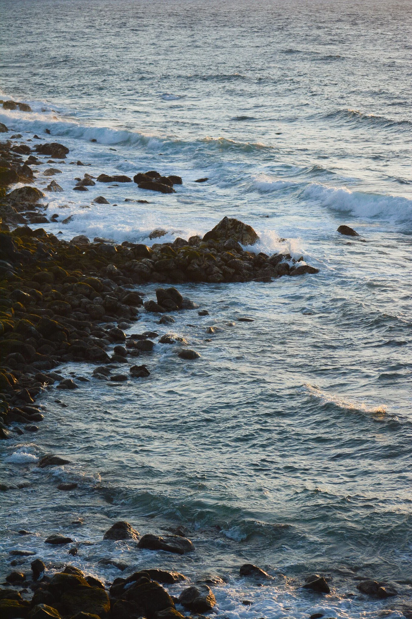 DSC_0691.jpg