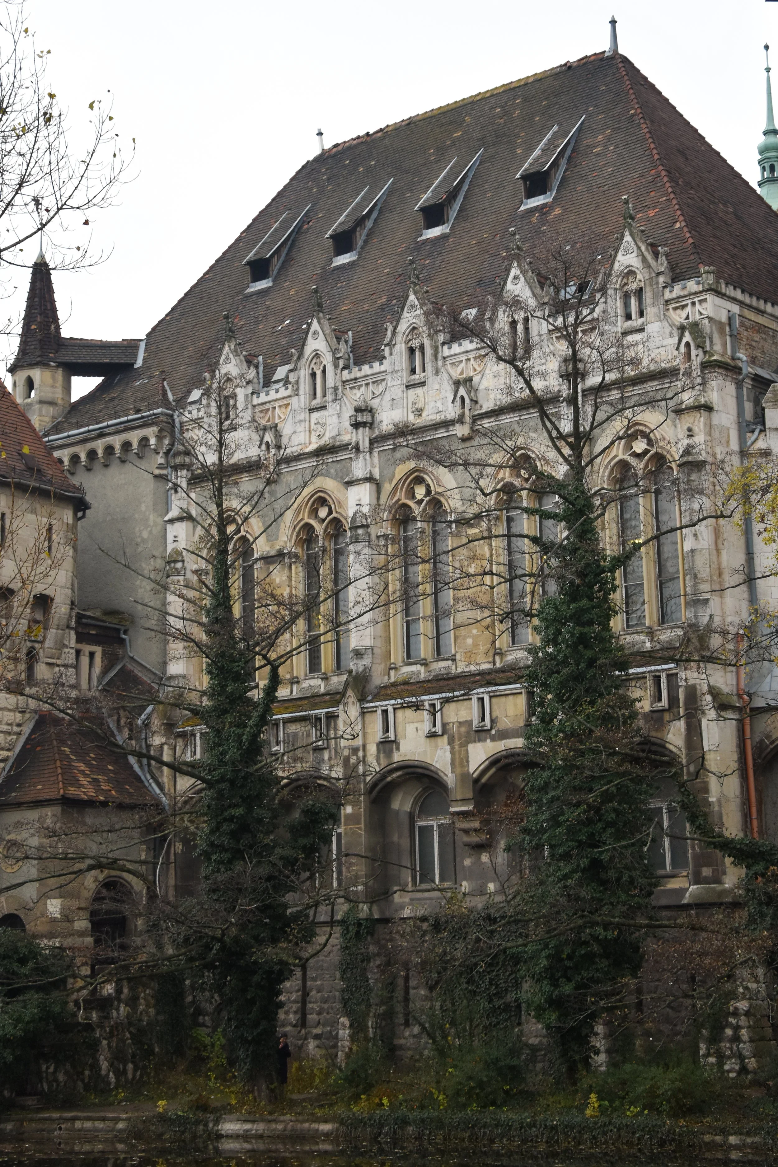 DSC_0095.jpg