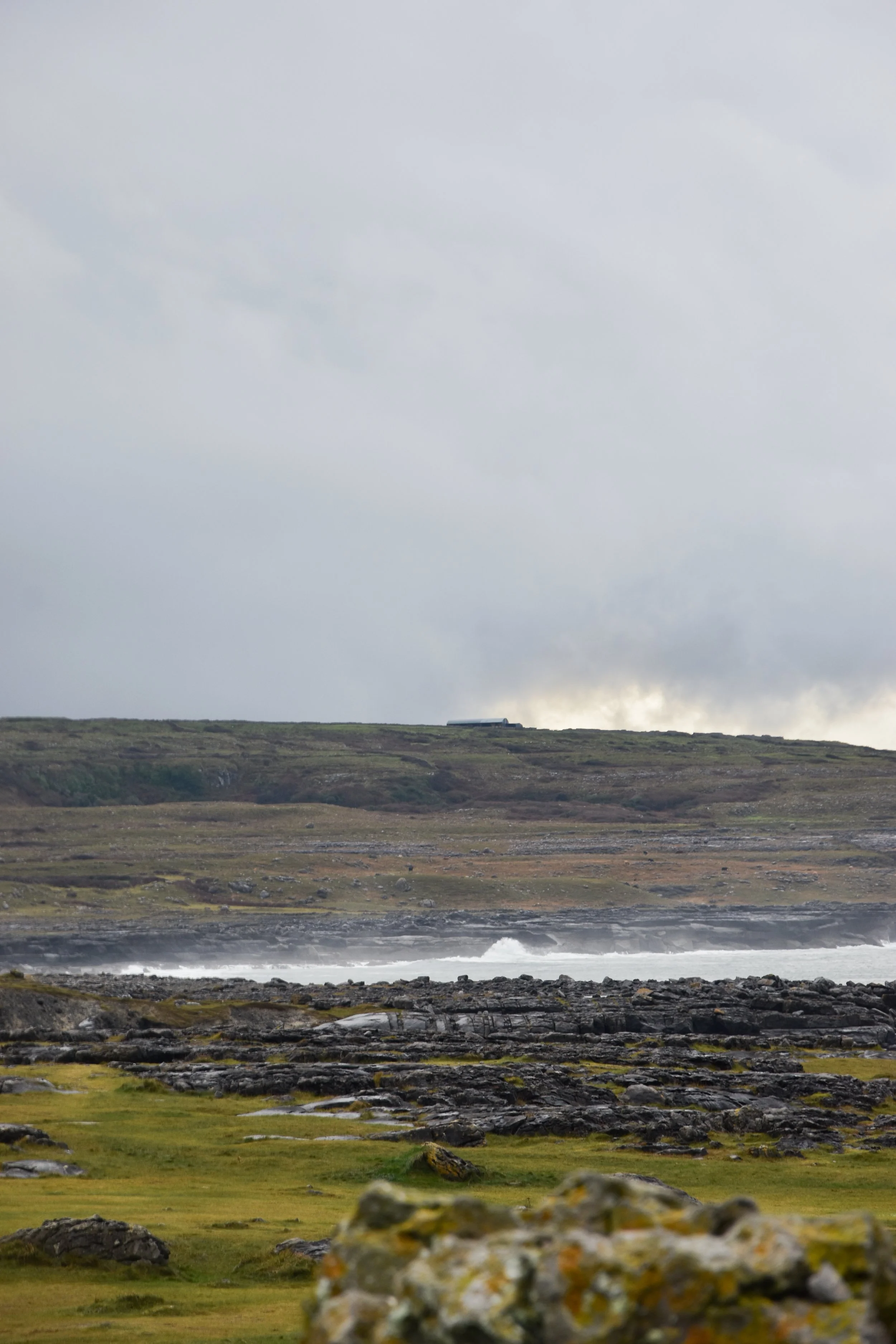 DSC_0157.jpg