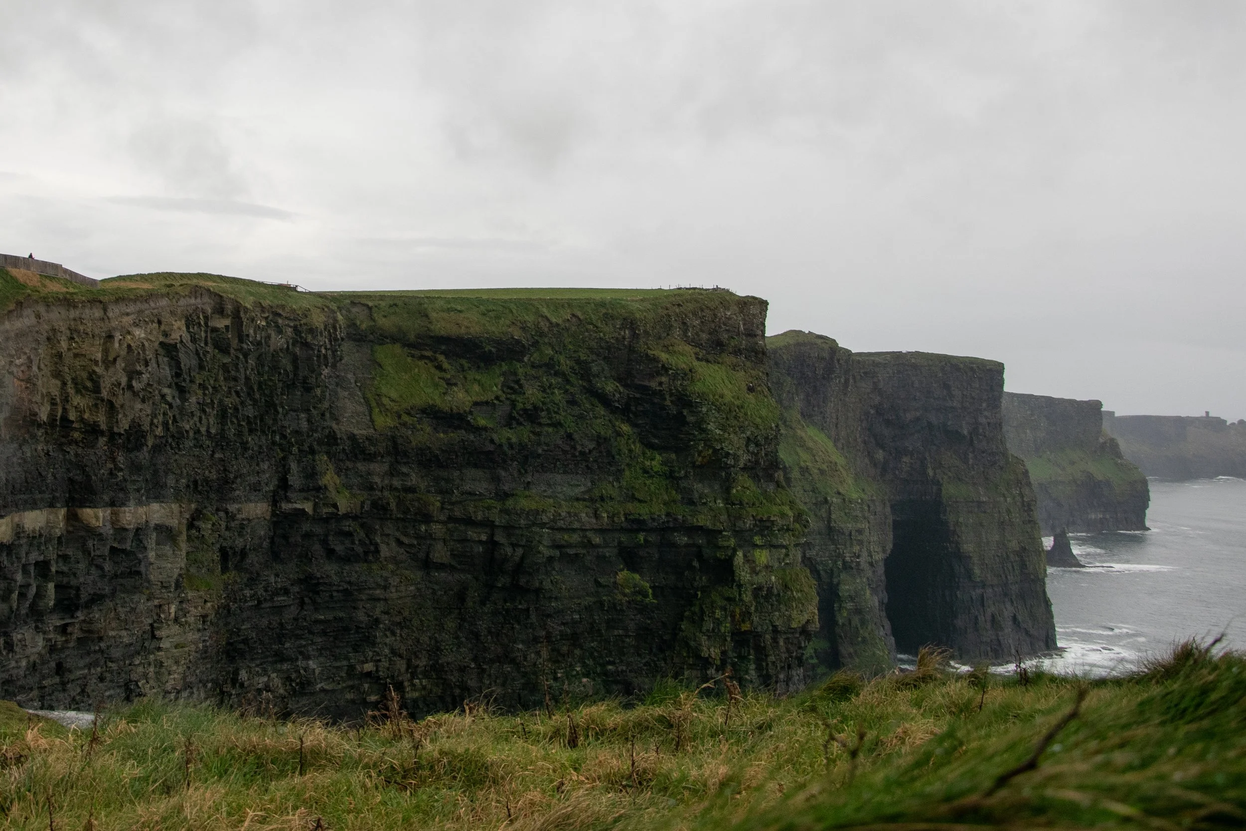 DSC_0123.jpg