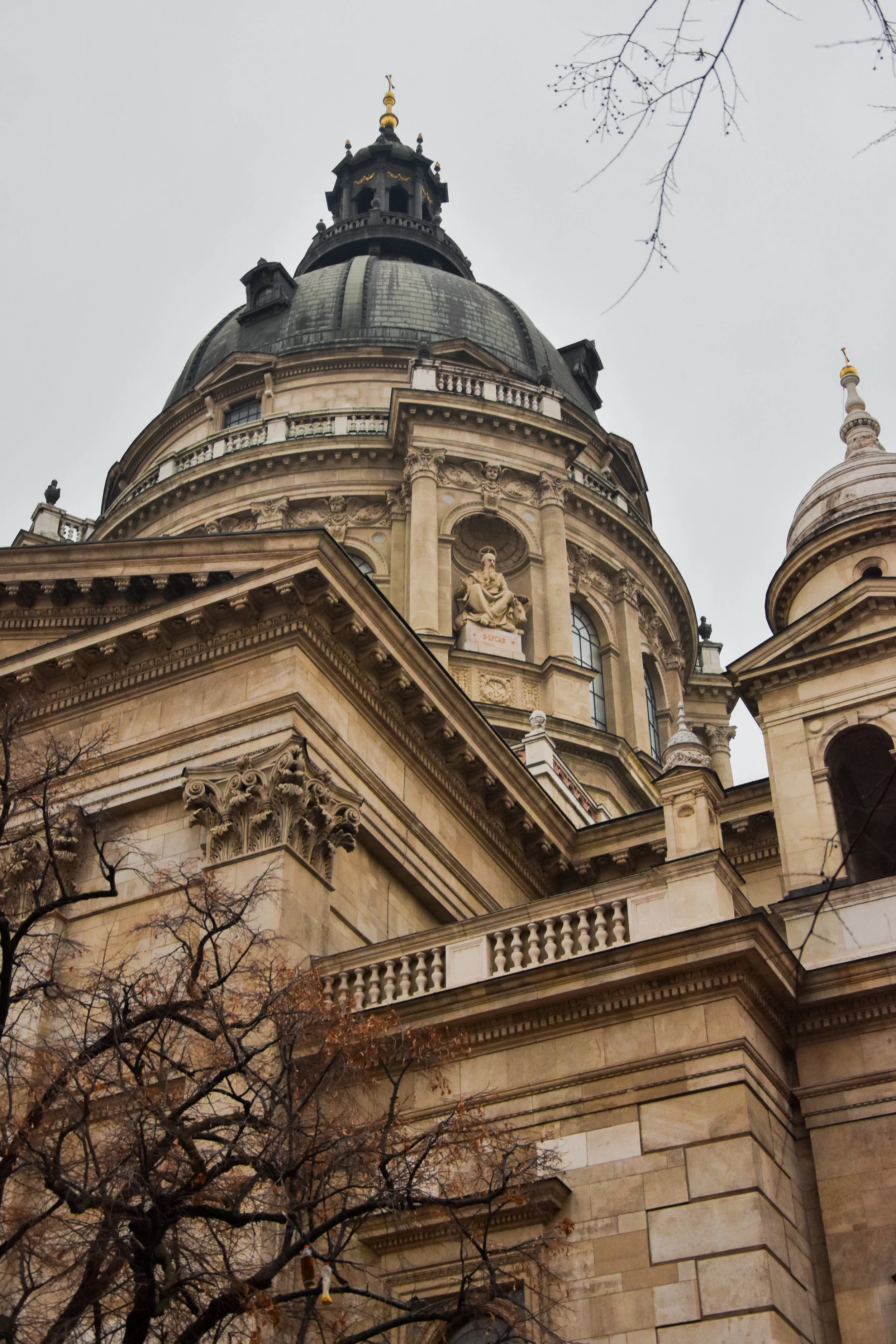 DSC_0117.jpg
