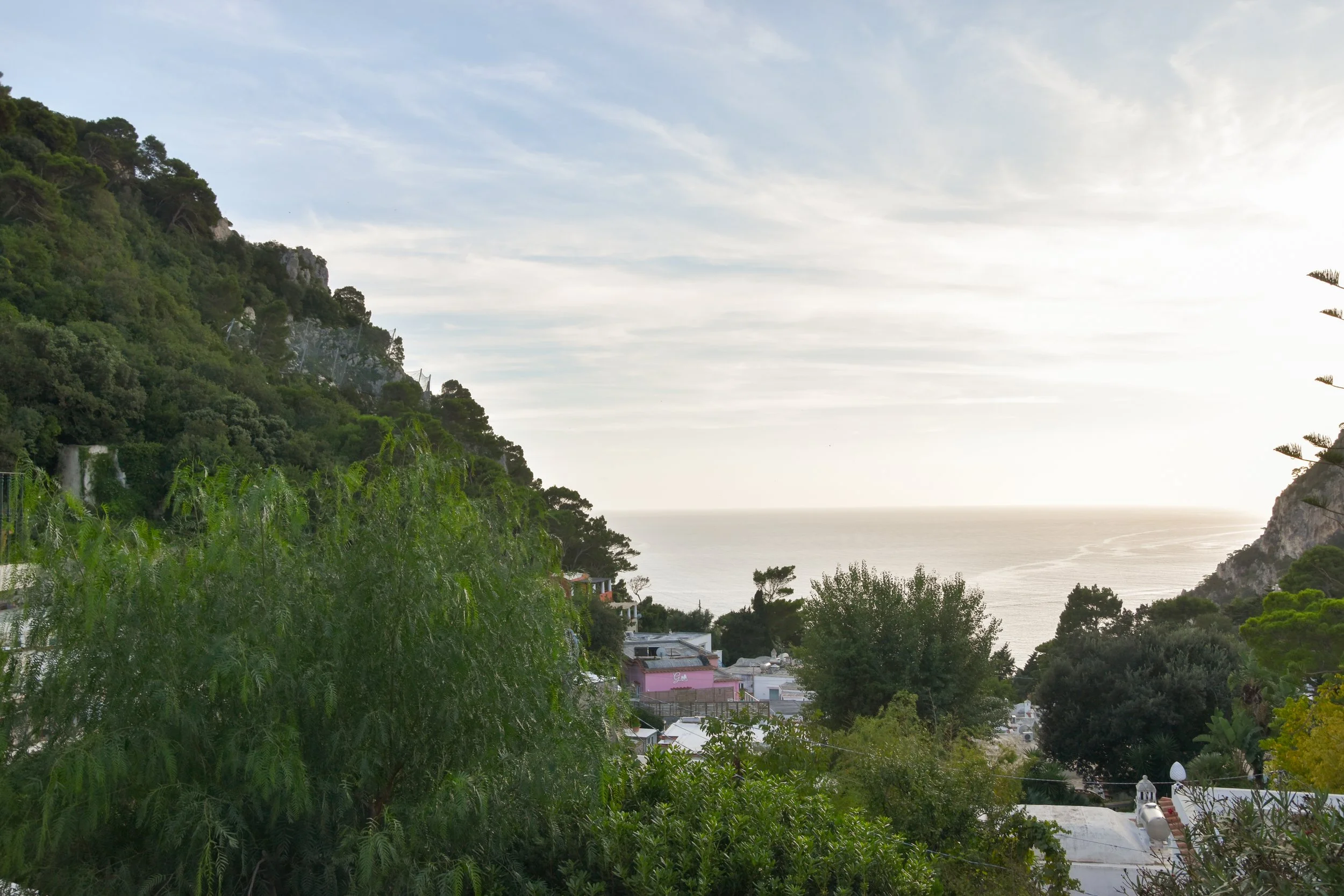 DSC_0519.jpg