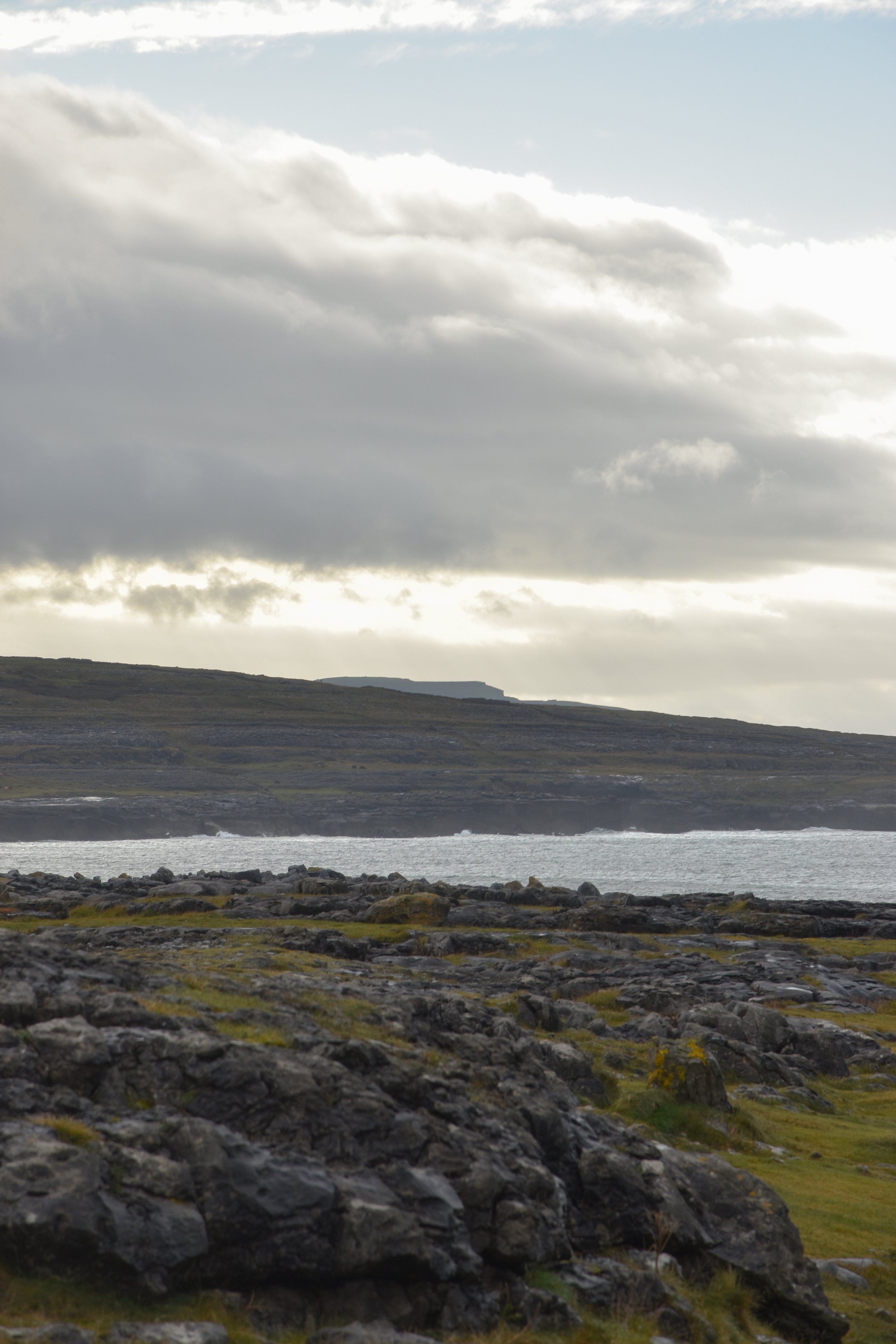 DSC_0165.jpg