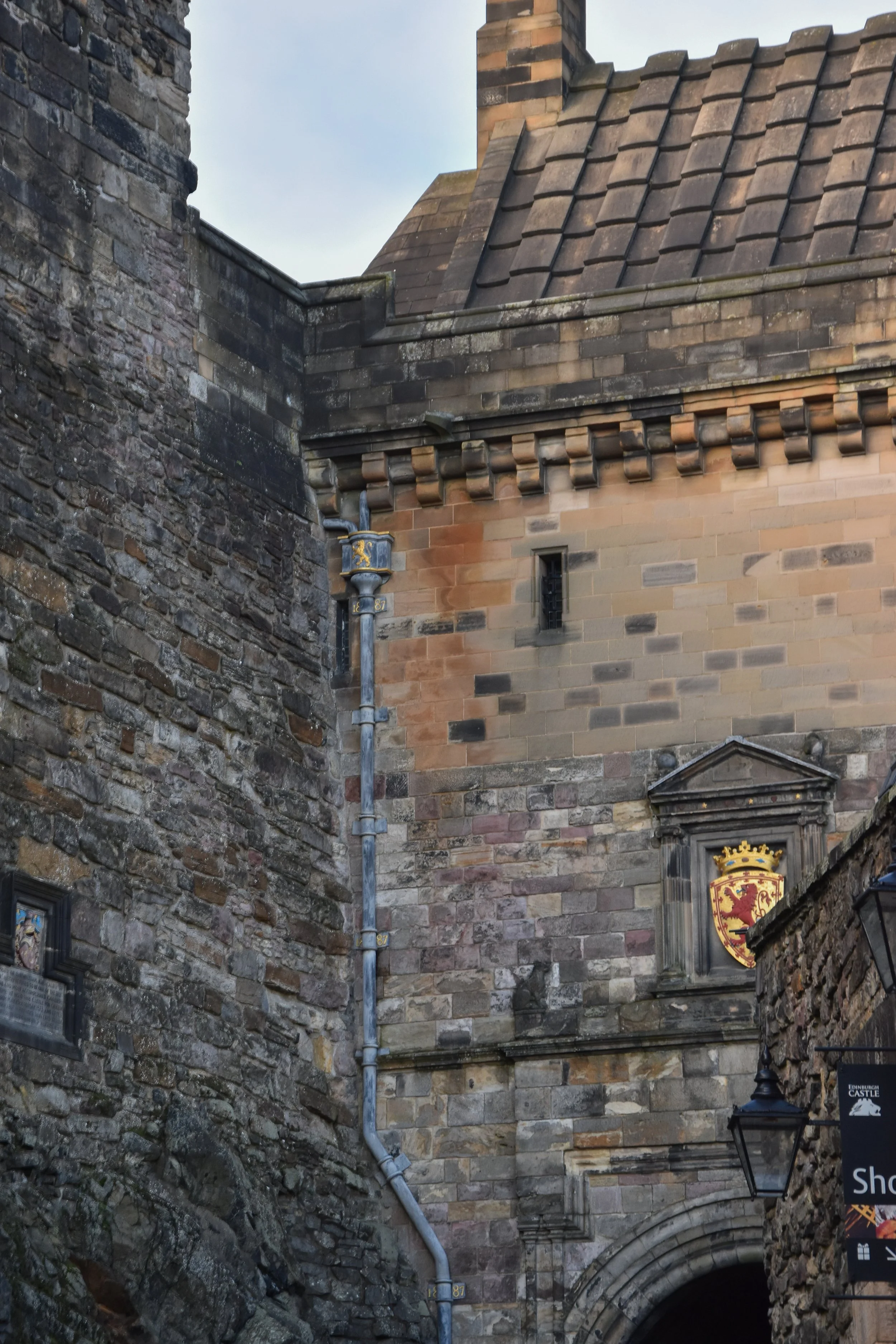 DSC_0099.jpg