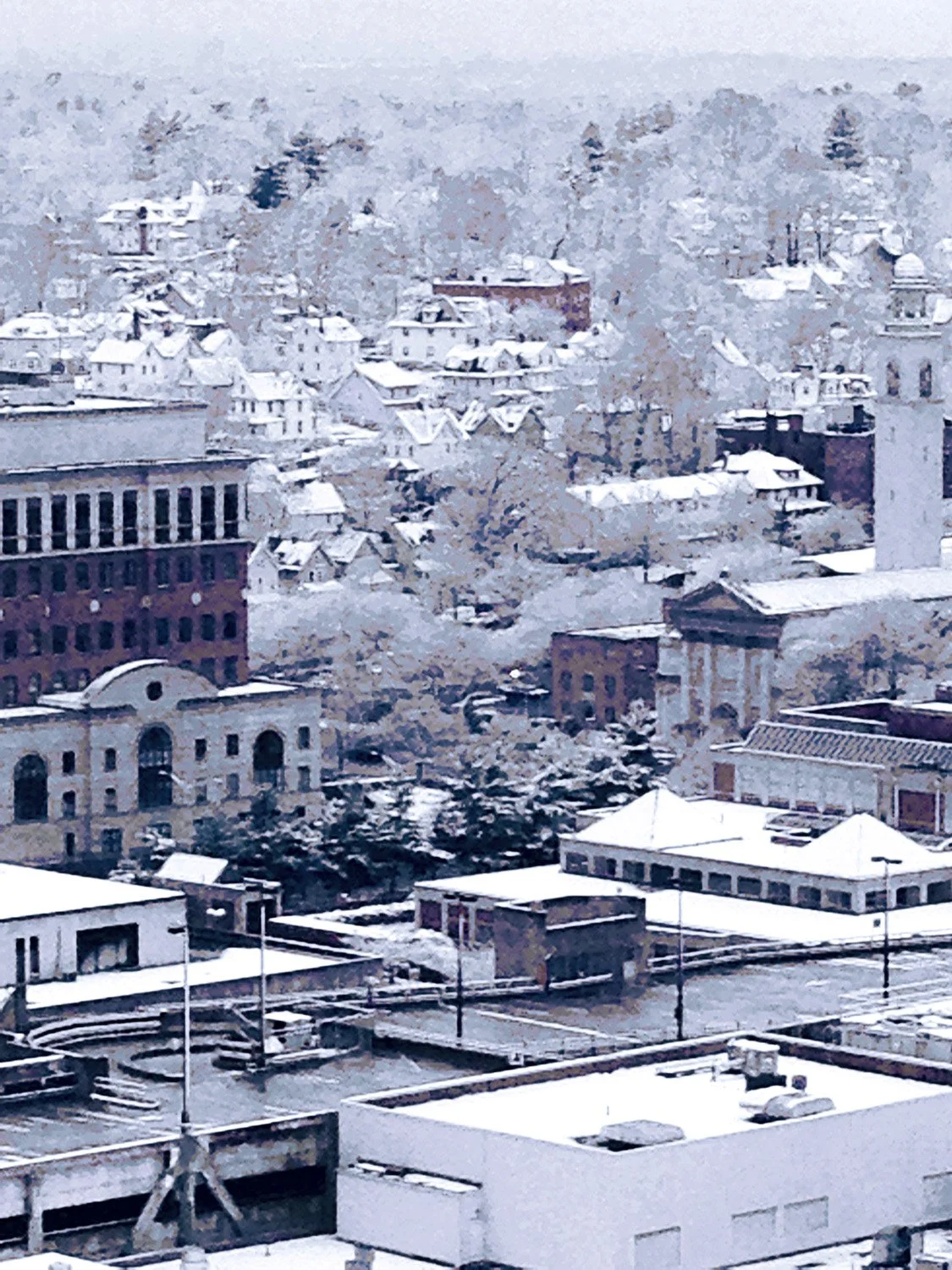 White-Plains-Winter-Vista.jpg