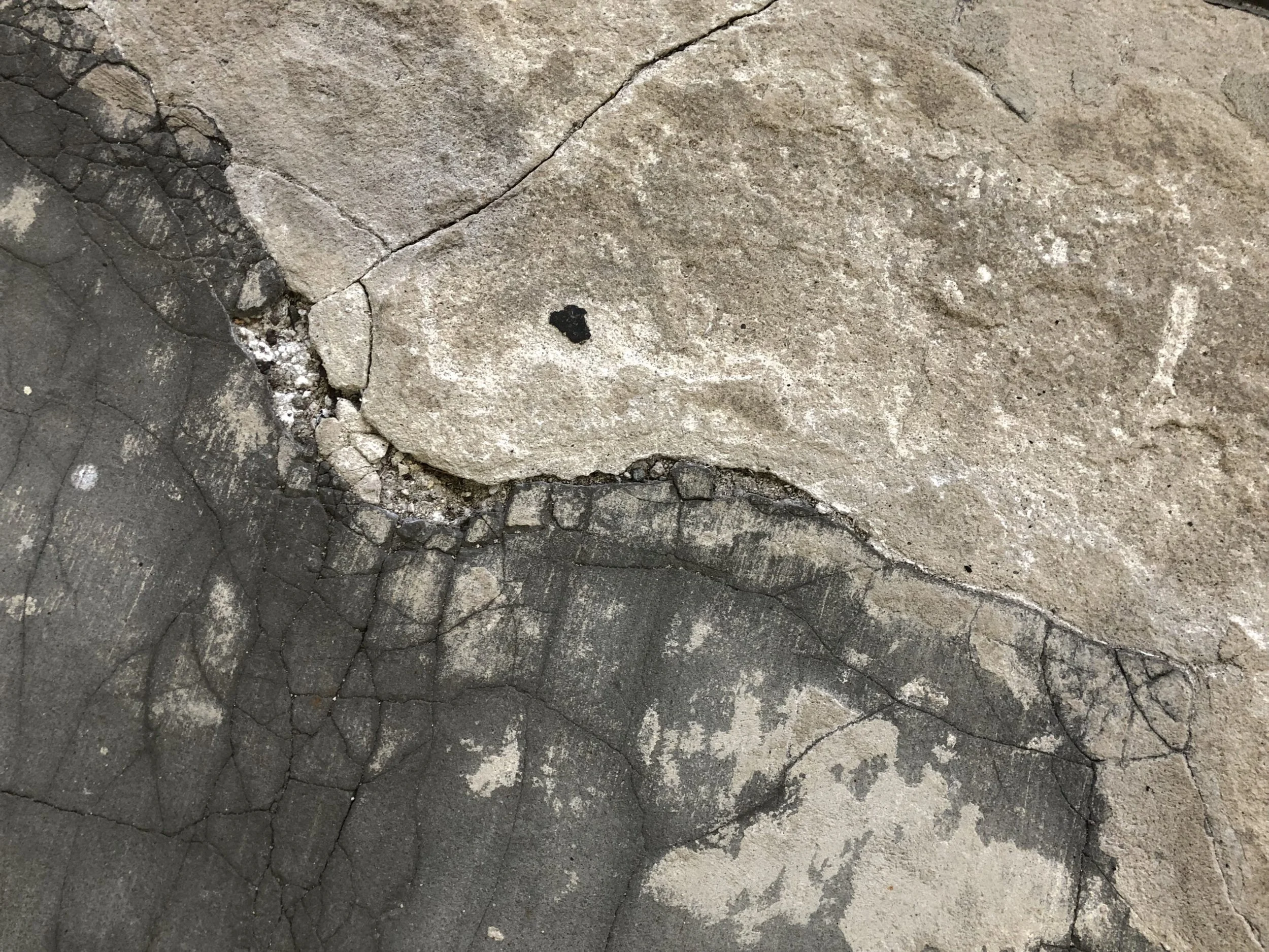 Surprise_on_a_Crumbling_._._.1_IMG_0972_LORES-scaled.jpg