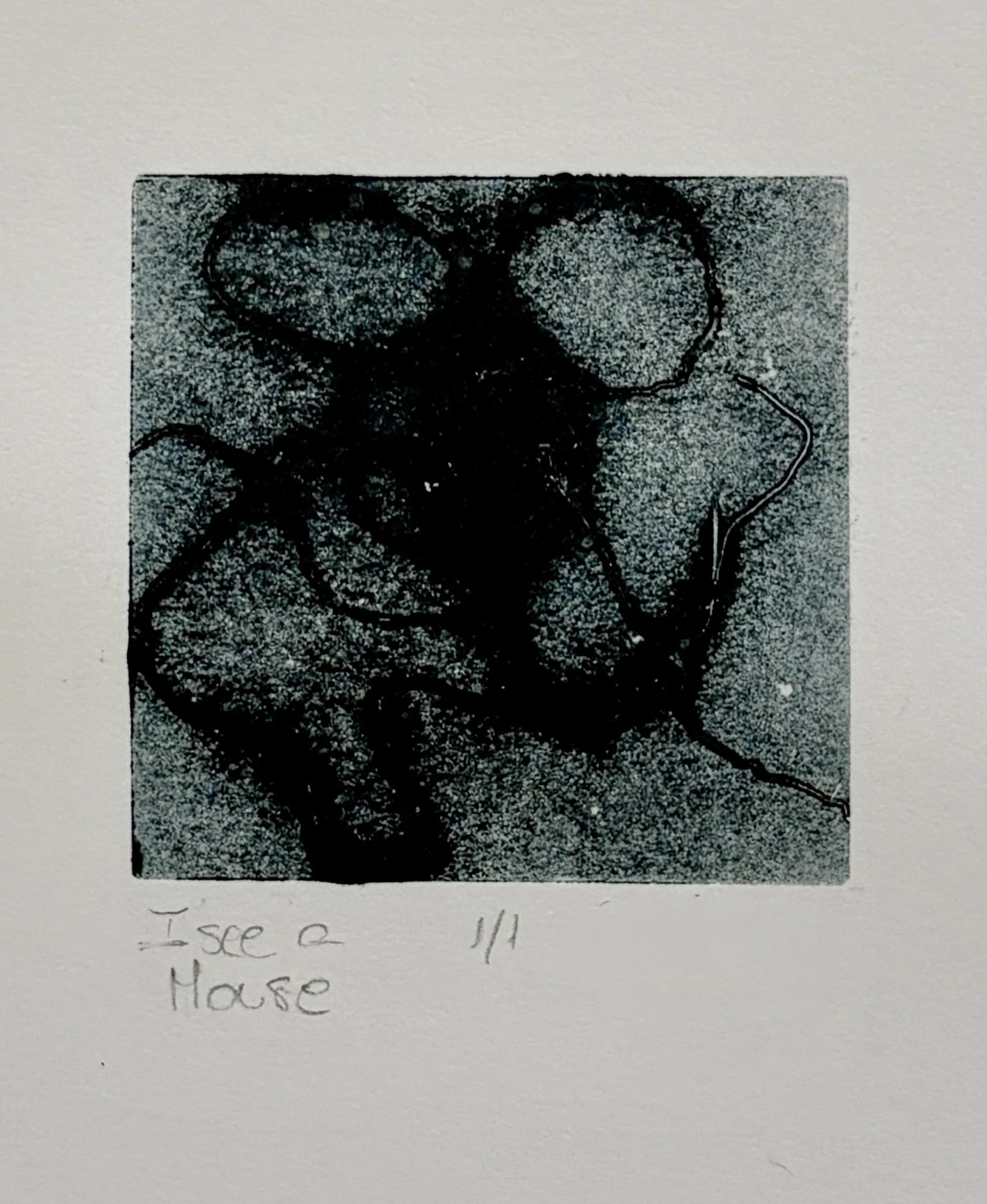 Almudena_FernandezVicens_ISeeaMouse_2x2platesize_8x8frame_size_250.jpeg