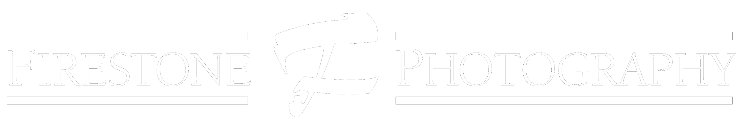 Fresione Photography logo with a paint roller icon between the words 'Fresione' and 'Photography' on a black background.