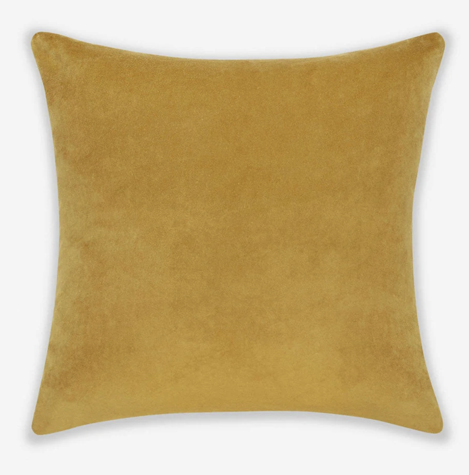 Velvet Pillow