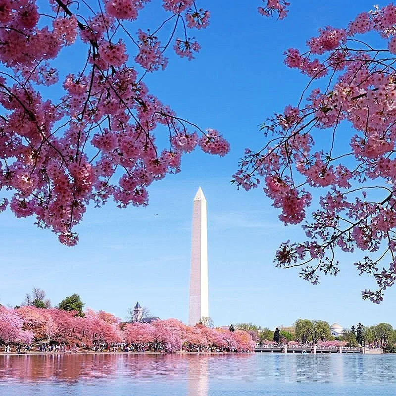 An Insider’s Guide to Washington, D.C.
