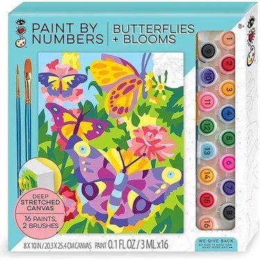 Paint by Numbers Butterfly &amp; Blooms