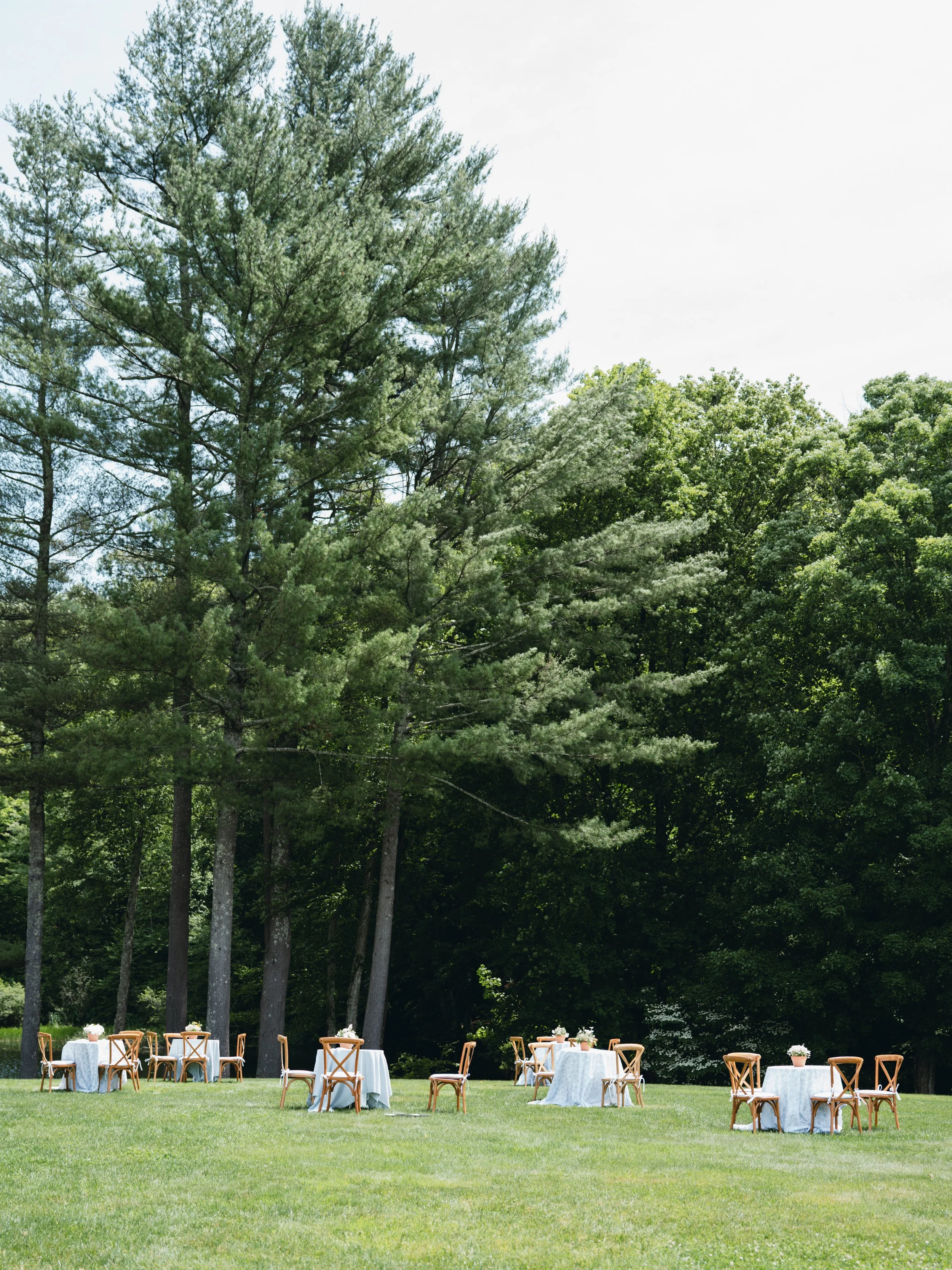 Outdoor wedding reception setup with round tables covered in light-colored tablecloths and surrounded by chairs, set on a grassy lawn with a backdrop of tall green trees.