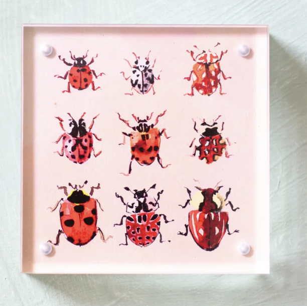 Ladybug Block