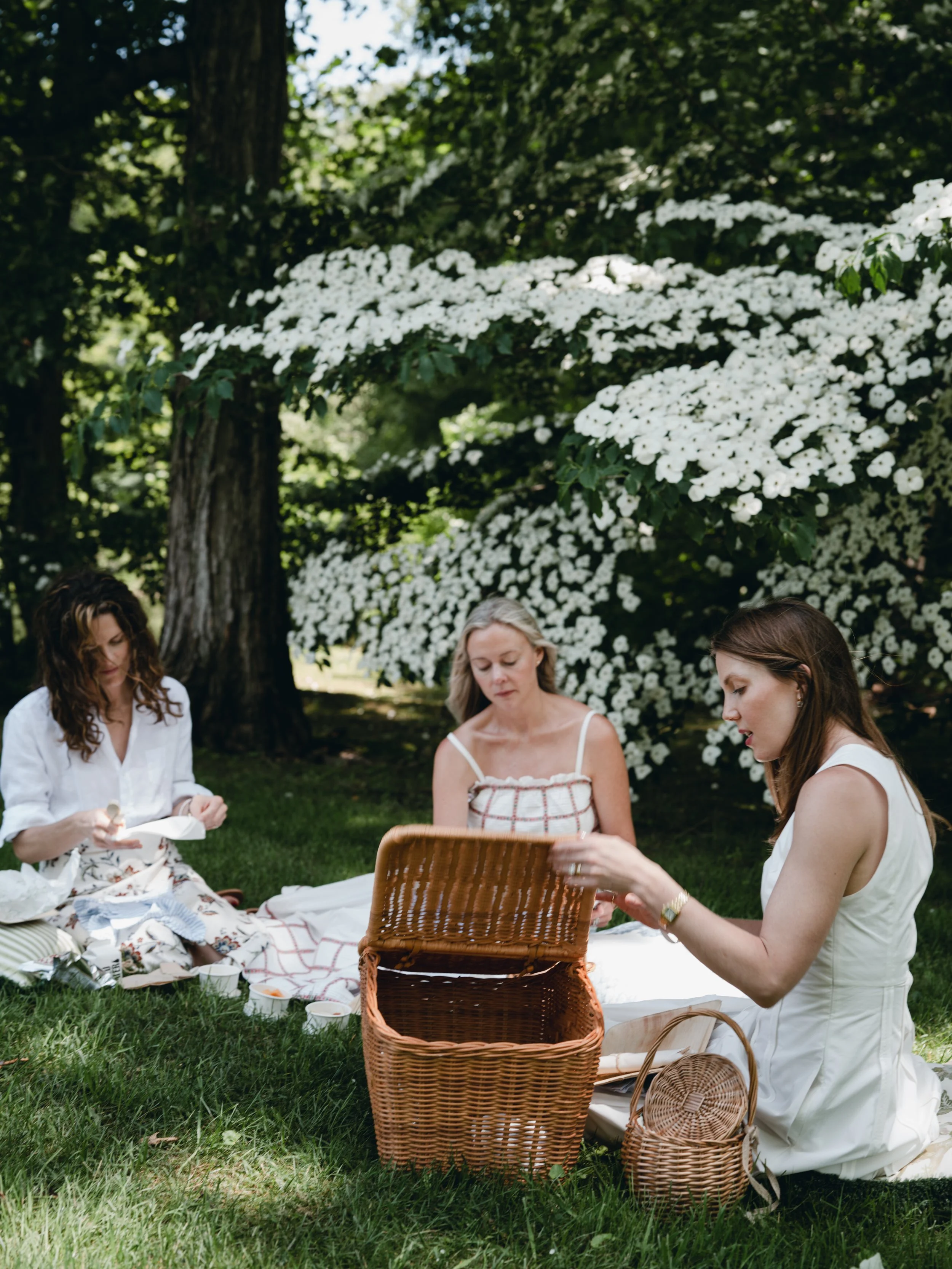 Women sitting on a white blanket having a picnic outdoors beneath a tree with white flowers, various picnic baskets and food items around them.