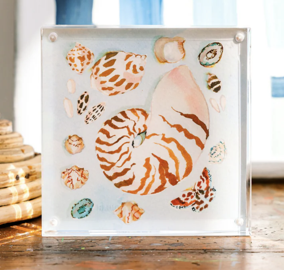 Nautilus Block