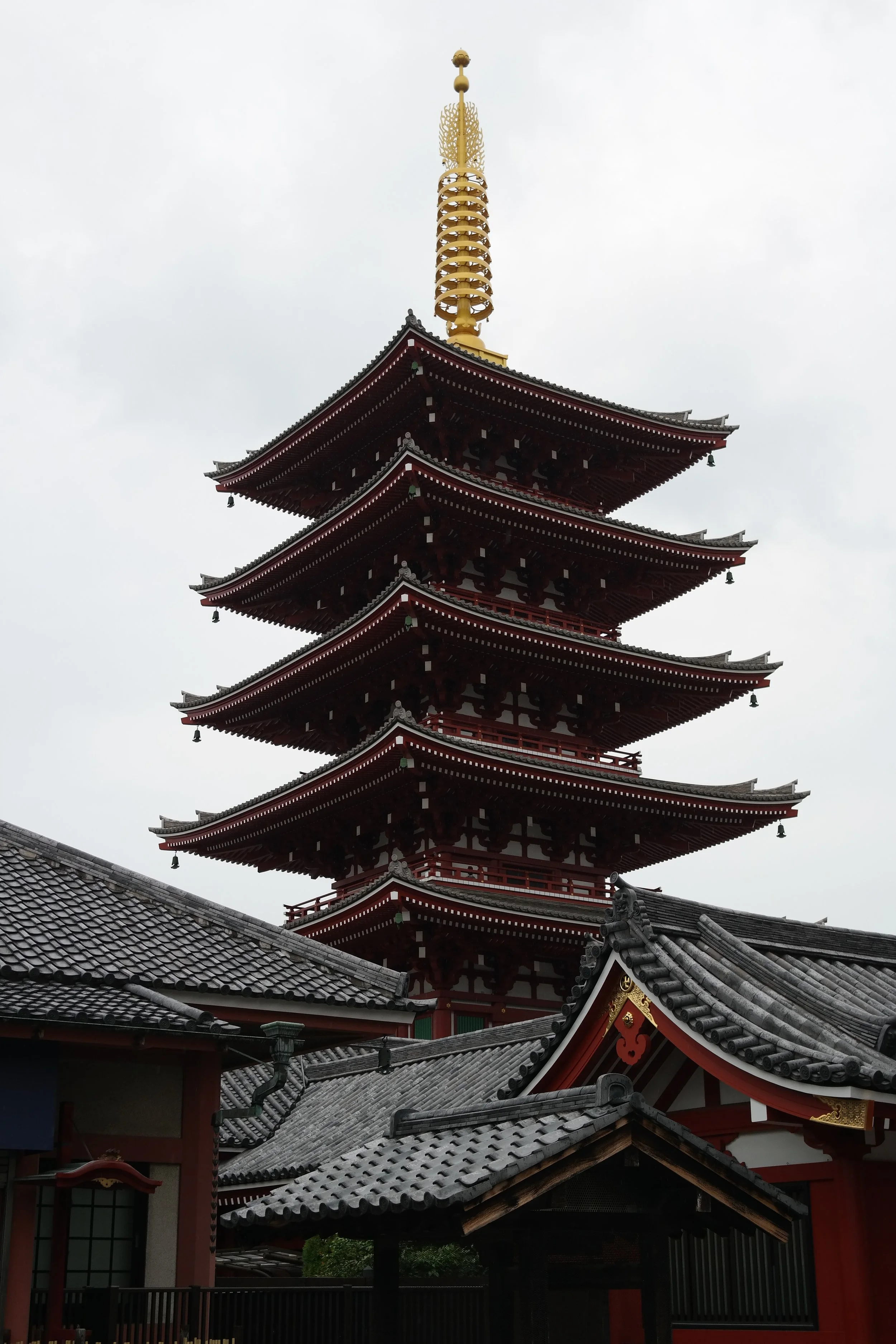 SAM_0959.JPG