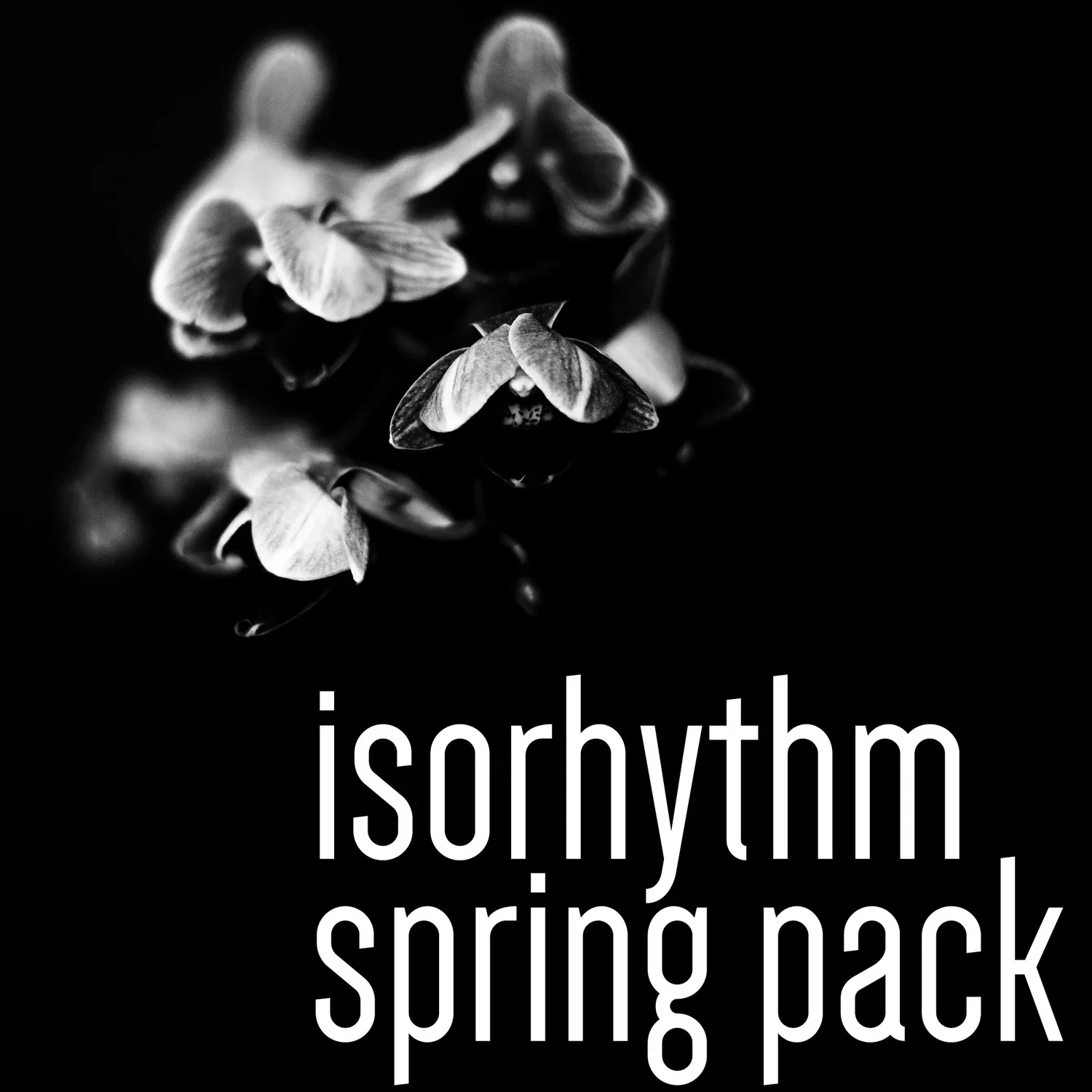 Isorhythm Spring Pack
