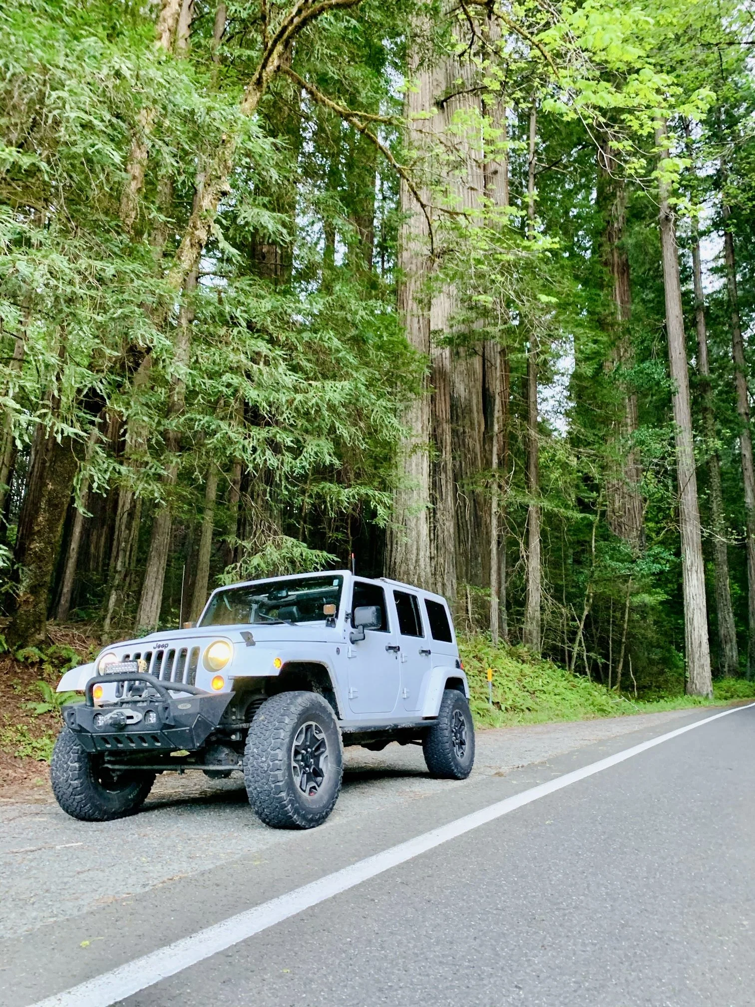 A white Jeep off-road vehicle parked on the side of a forested road with large trees and green foliage surrounding it.