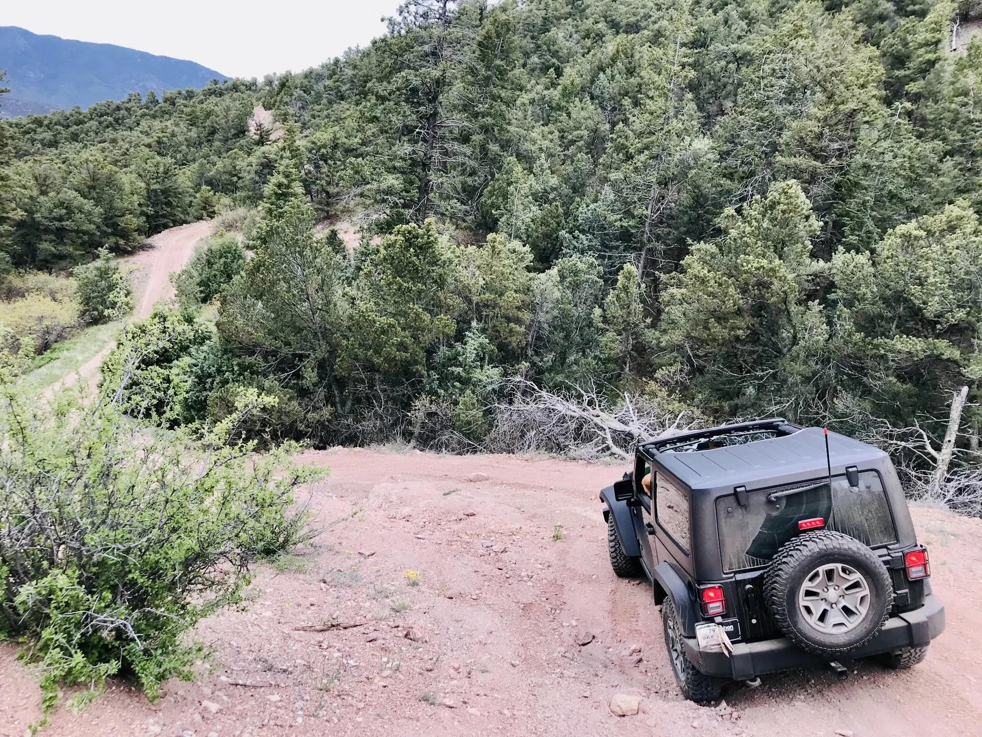 A black Jeep behind a bush on a dirt trail in a mountainous, forested area.